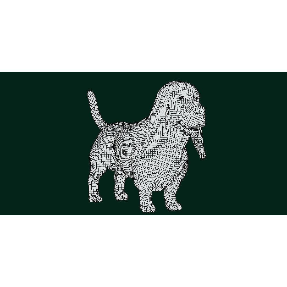 Basset Hound - Game-Ready 3D Model - View 8
