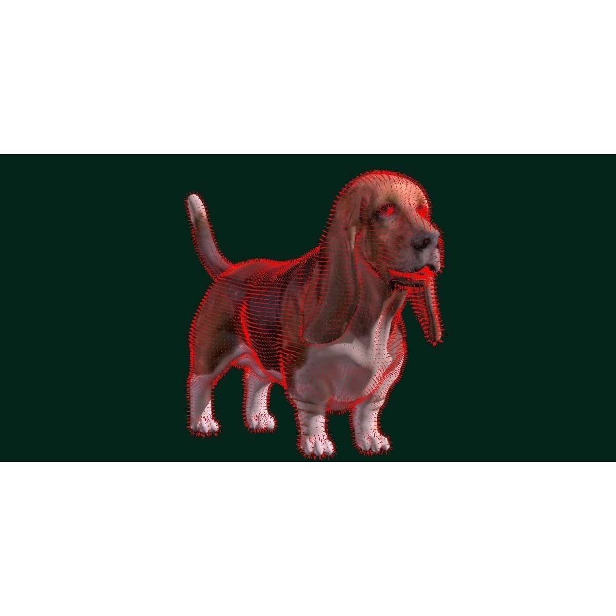 Basset Hound - Game-Ready 3D Model - View 9