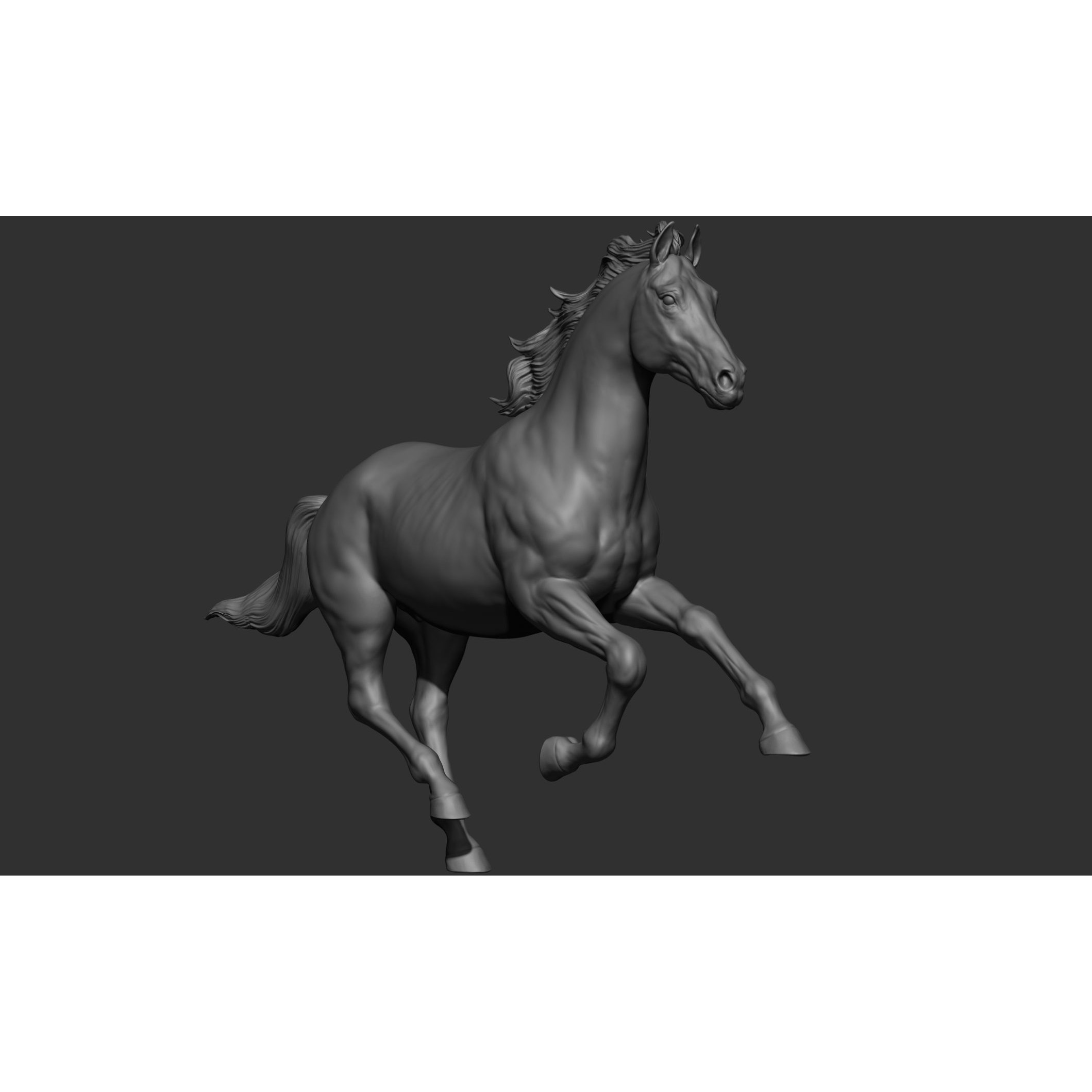 18 Horse Poses - 3D Model - View 18