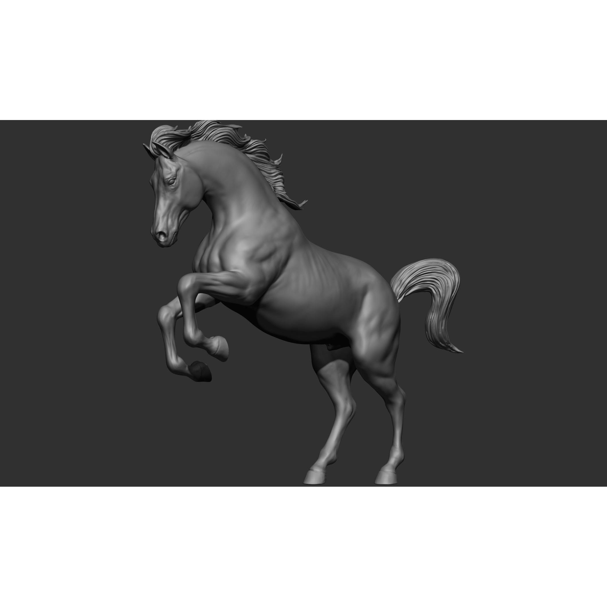 18 Horse Poses - 3D Model - View 51