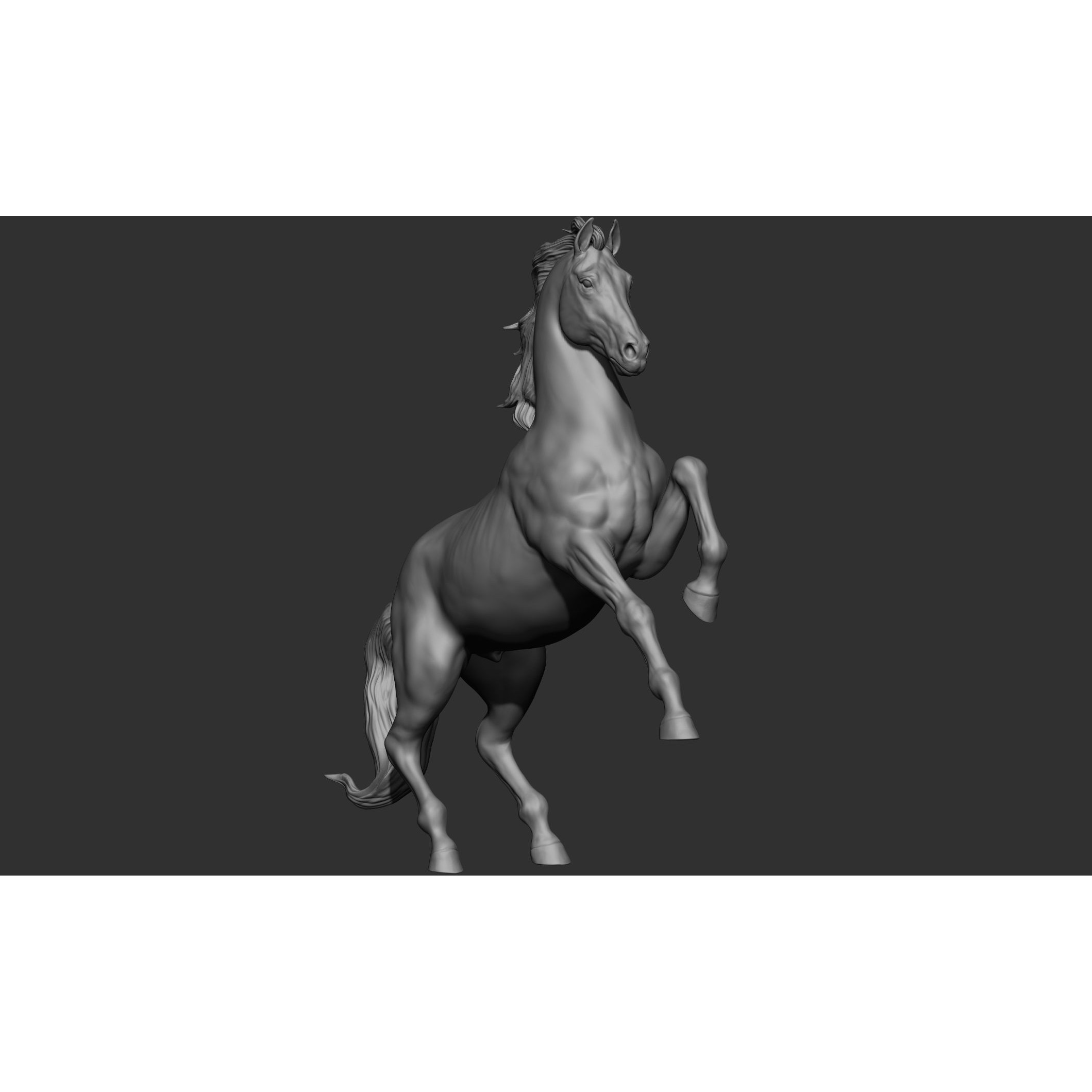18 Horse Poses - 3D Model - View 60
