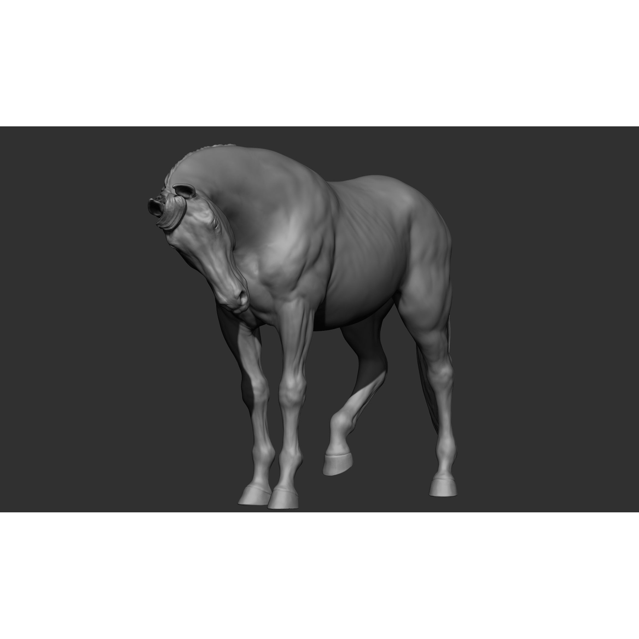 18 Horse Poses - 3D Model - View 72