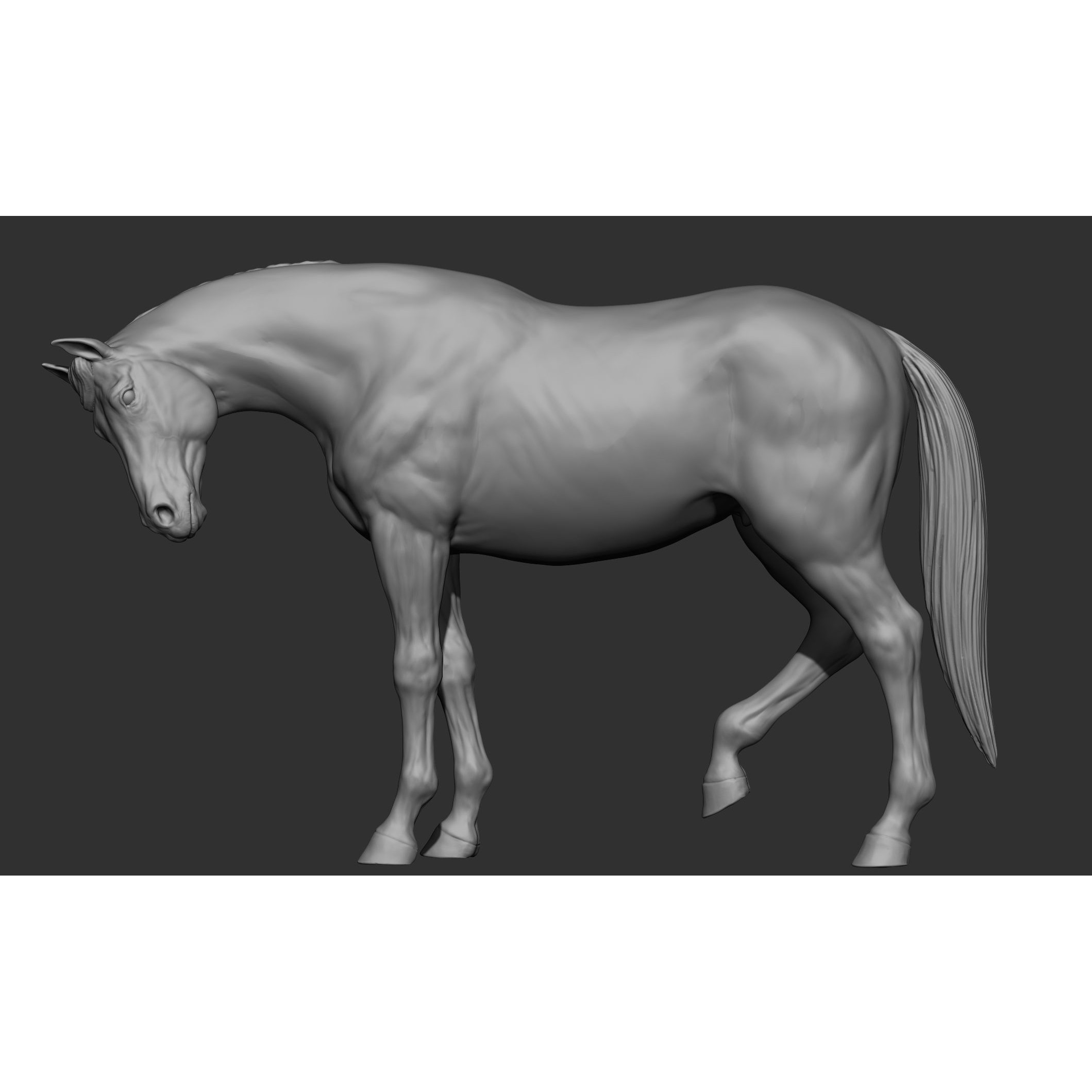 18 Horse Poses - 3D Model - View 73