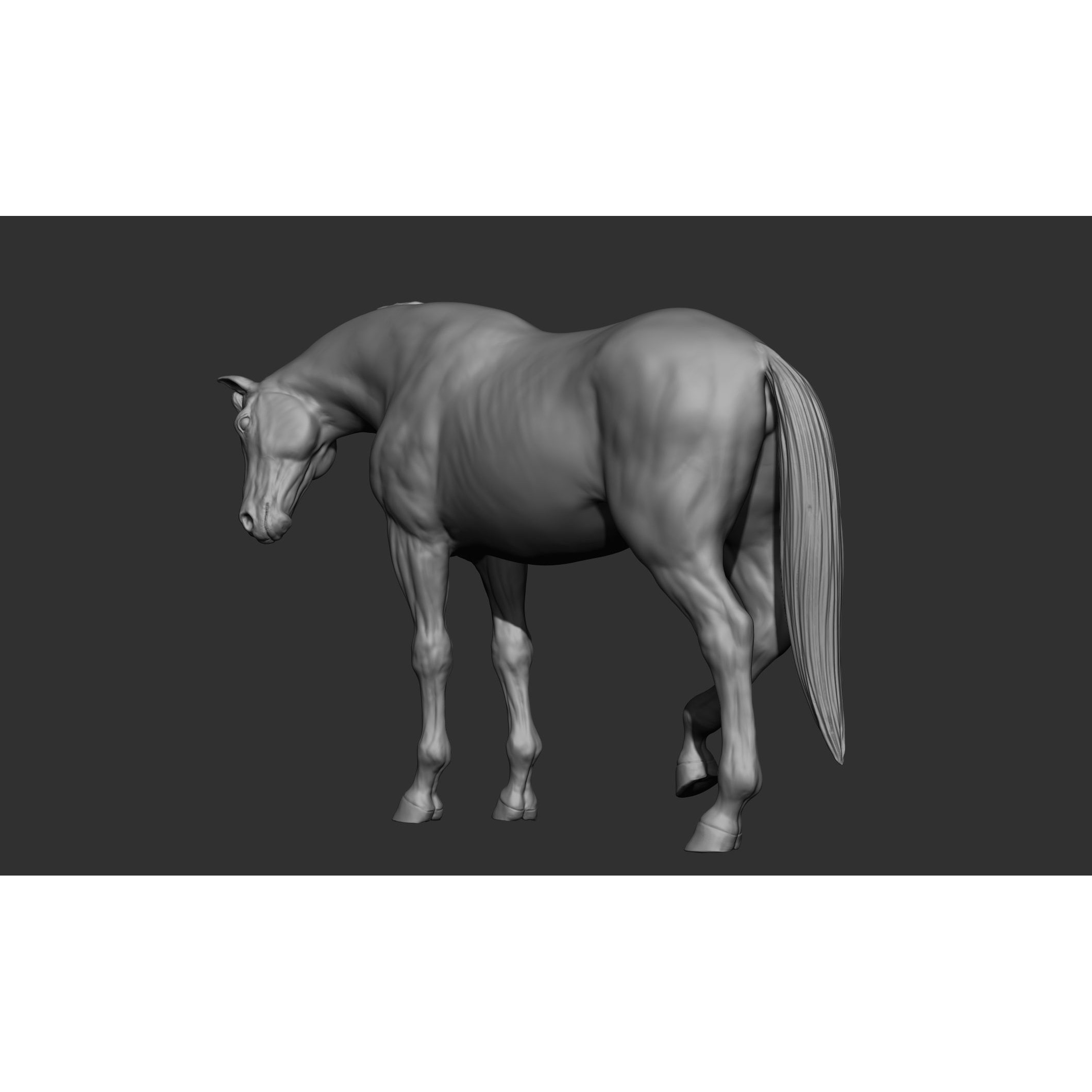 18 Horse Poses - 3D Model - View 74