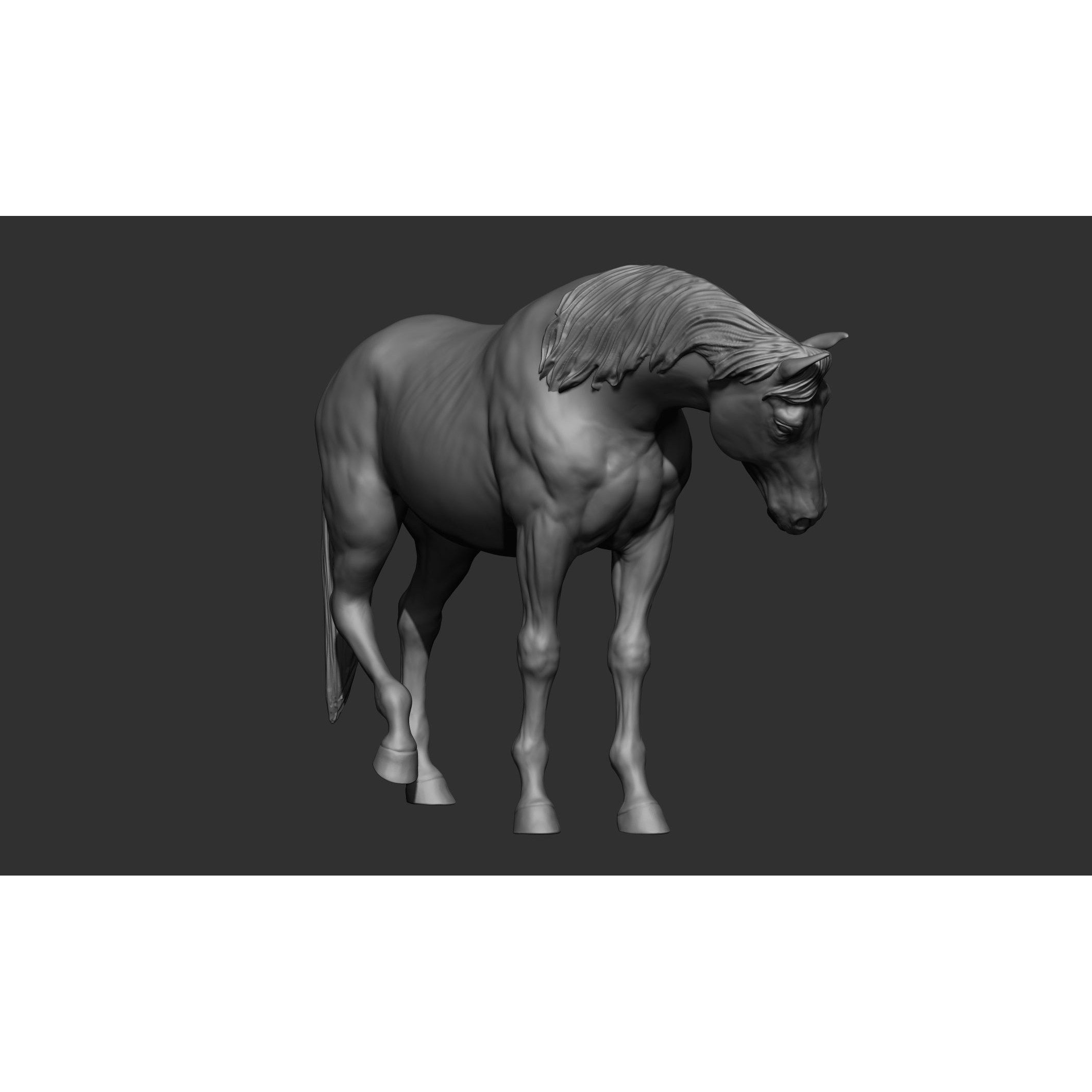 18 Horse Poses - 3D Model - View 76