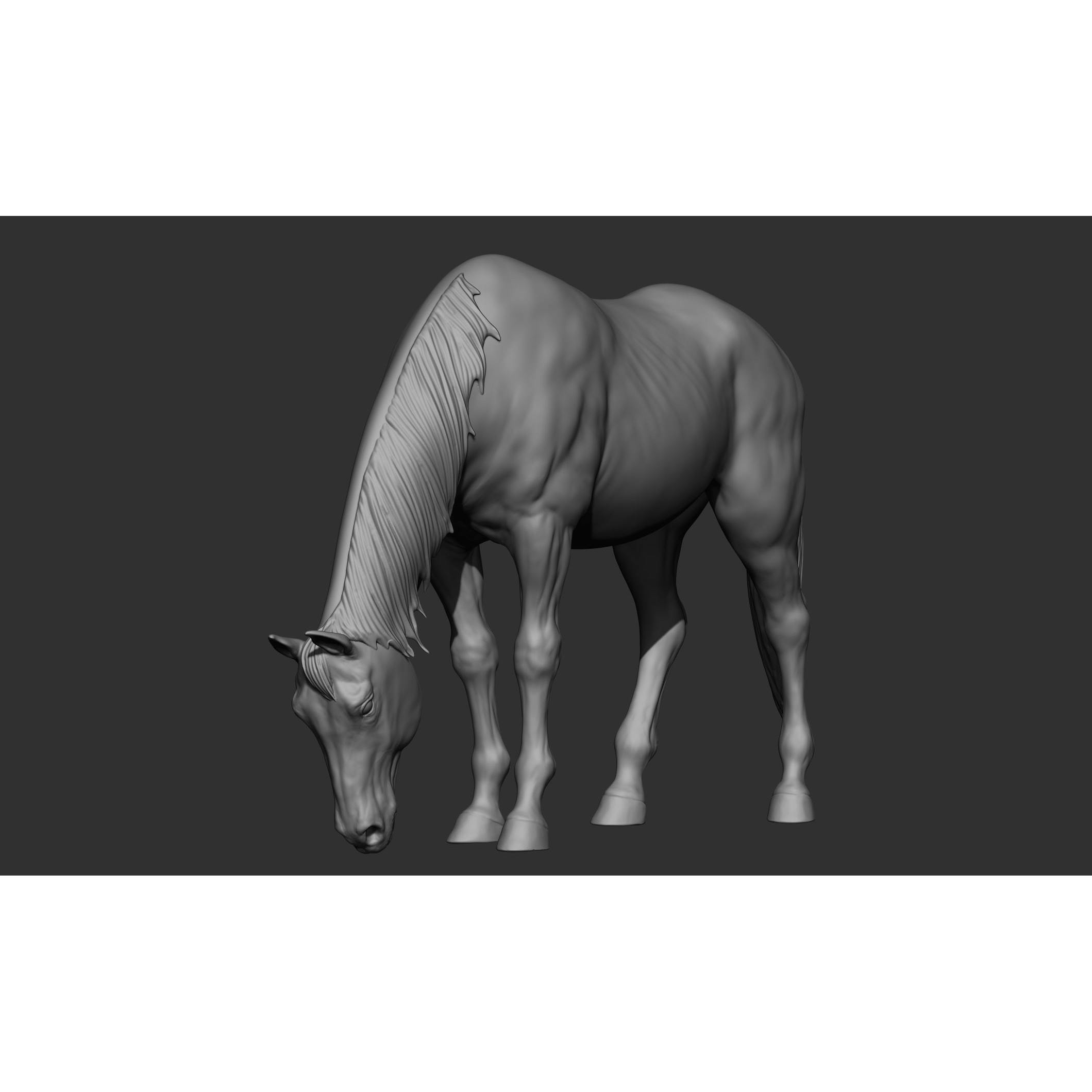 18 Horse Poses - 3D Model - View 86