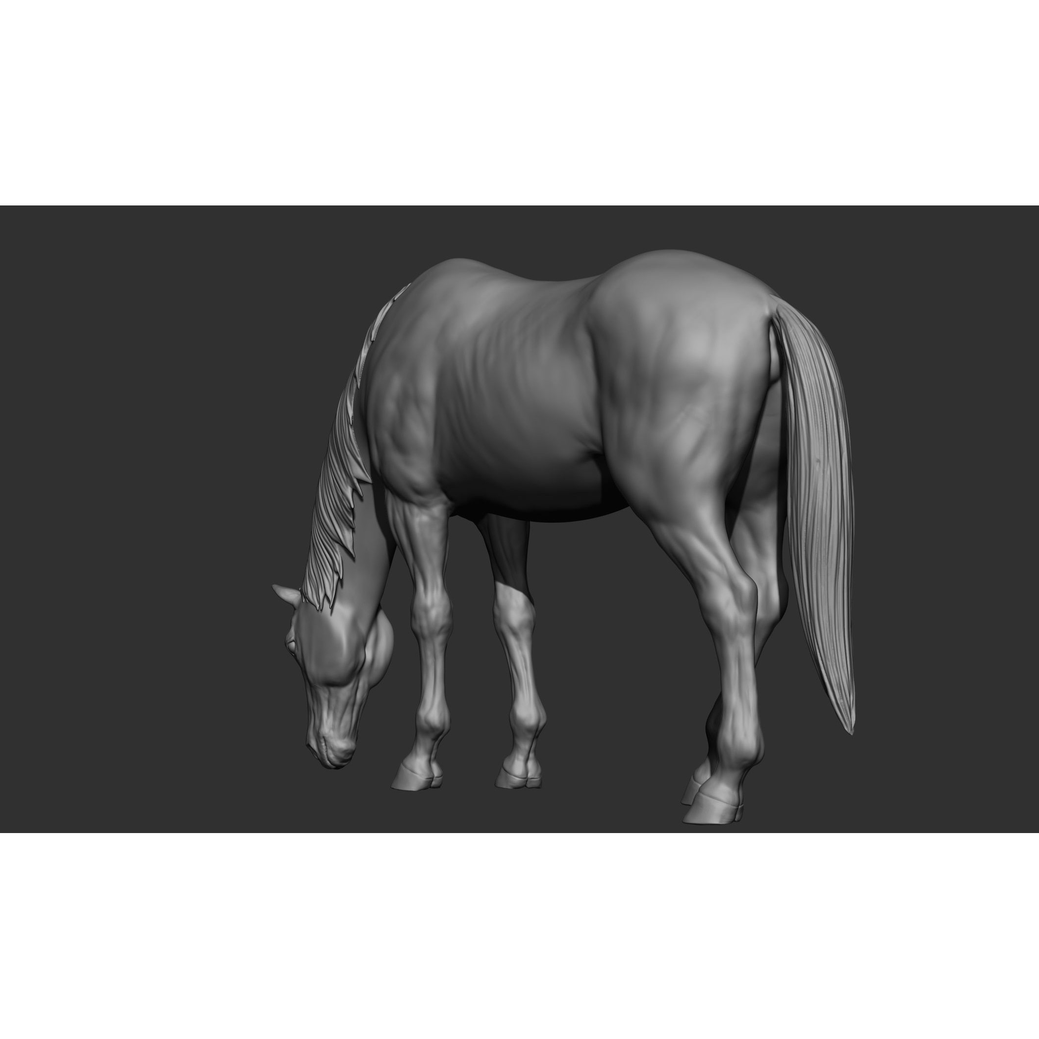 18 Horse Poses - 3D Model - View 88