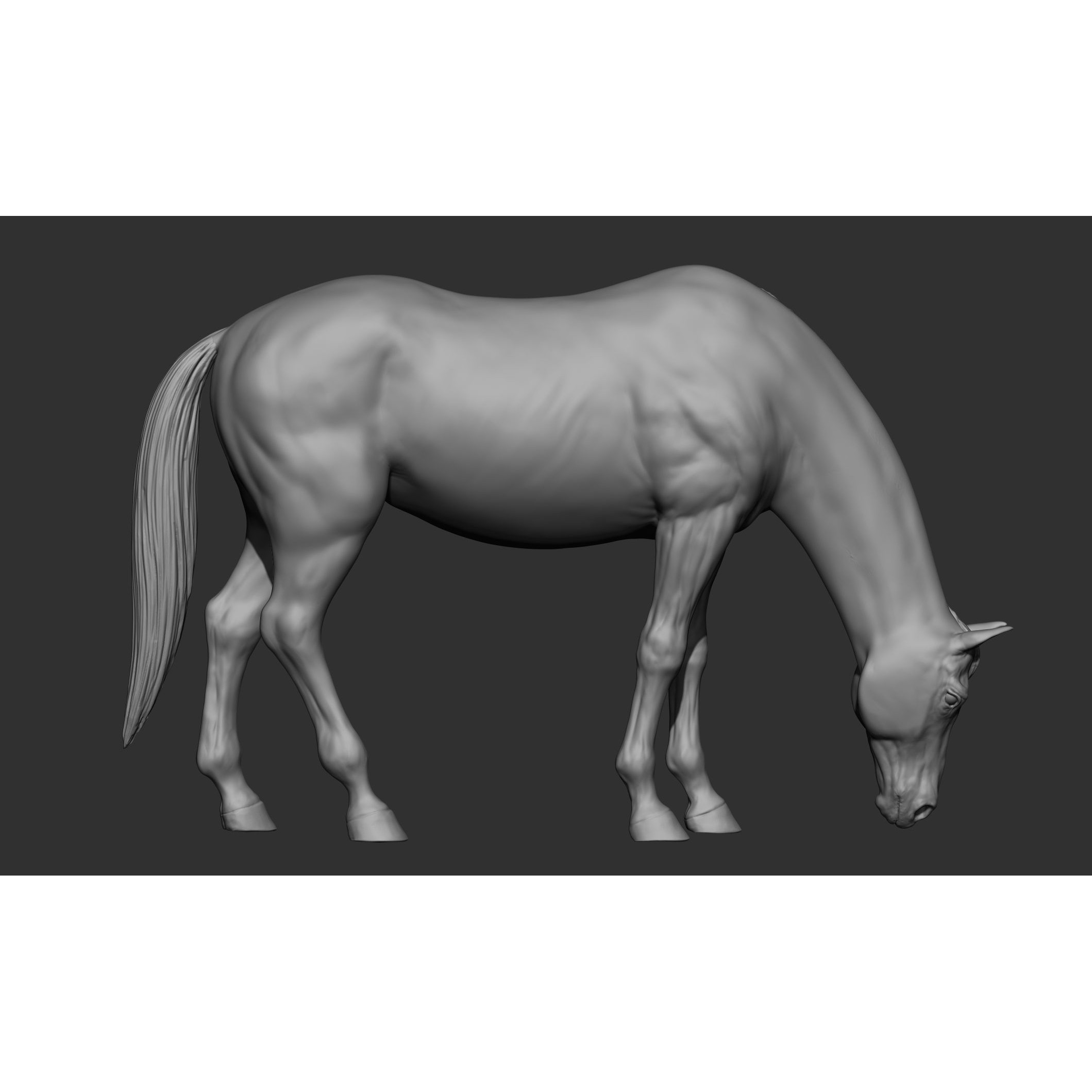 18 Horse Poses - 3D Model - View 89