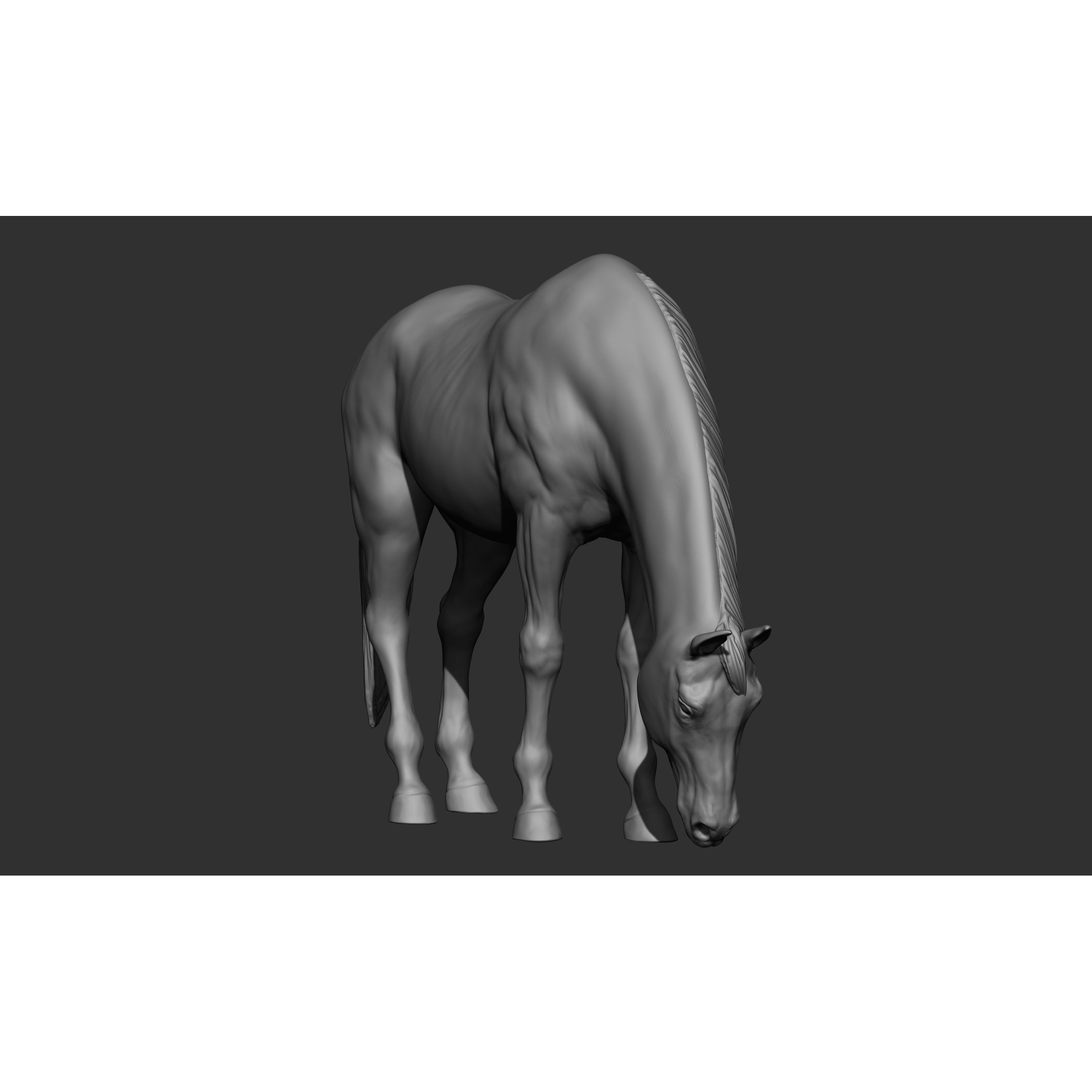 18 Horse Poses - 3D Model - View 90