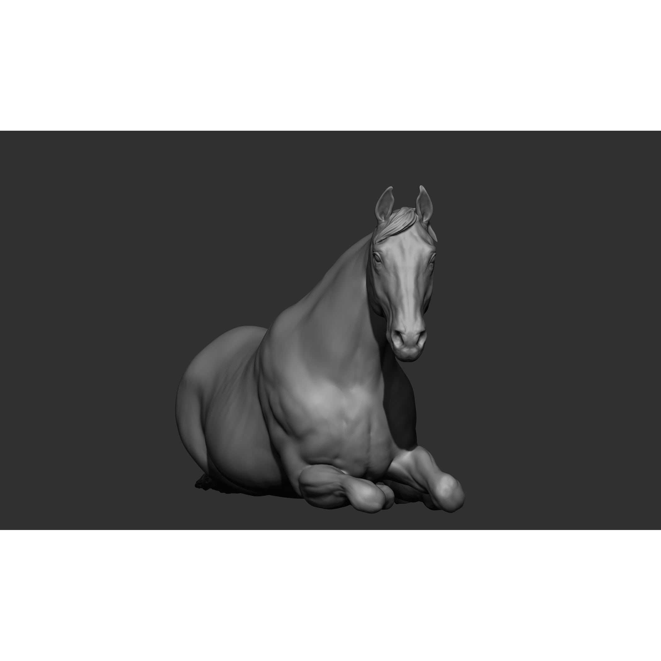 18 Horse Poses - 3D Model - View 94