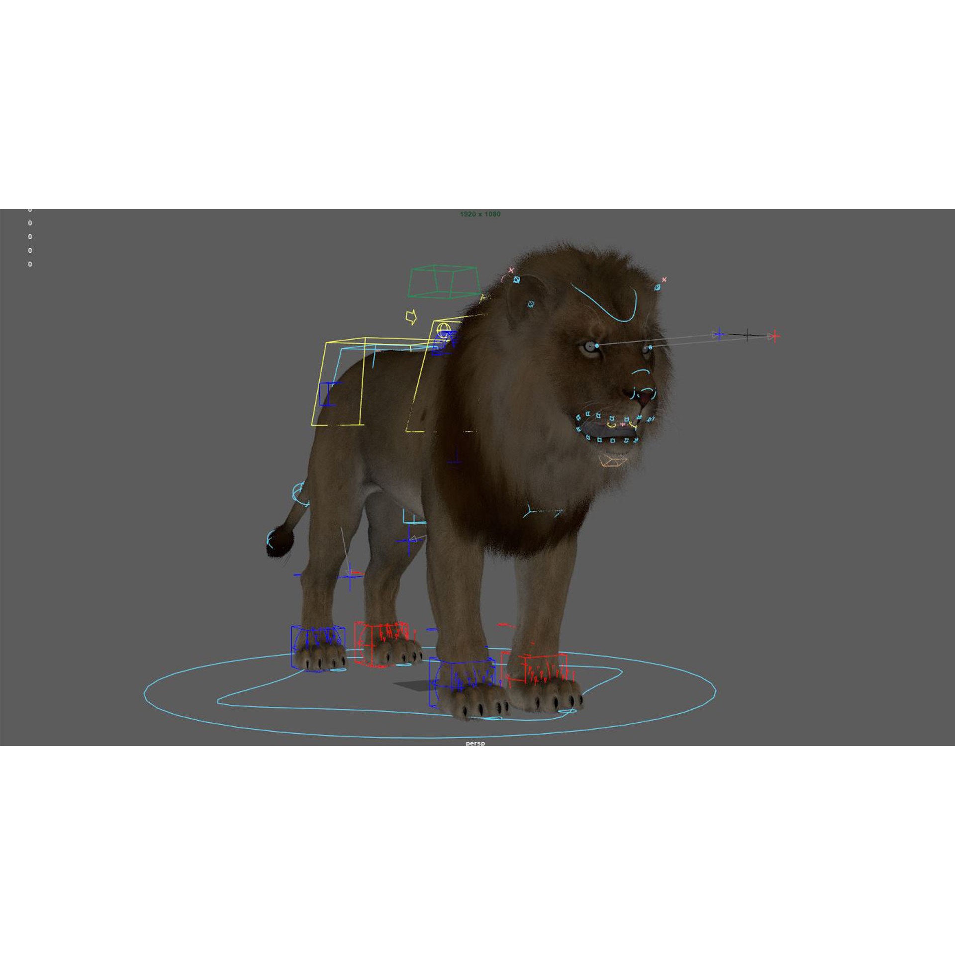 Realistic Lion - Low-Poly Game-Ready 3D Model - View 14