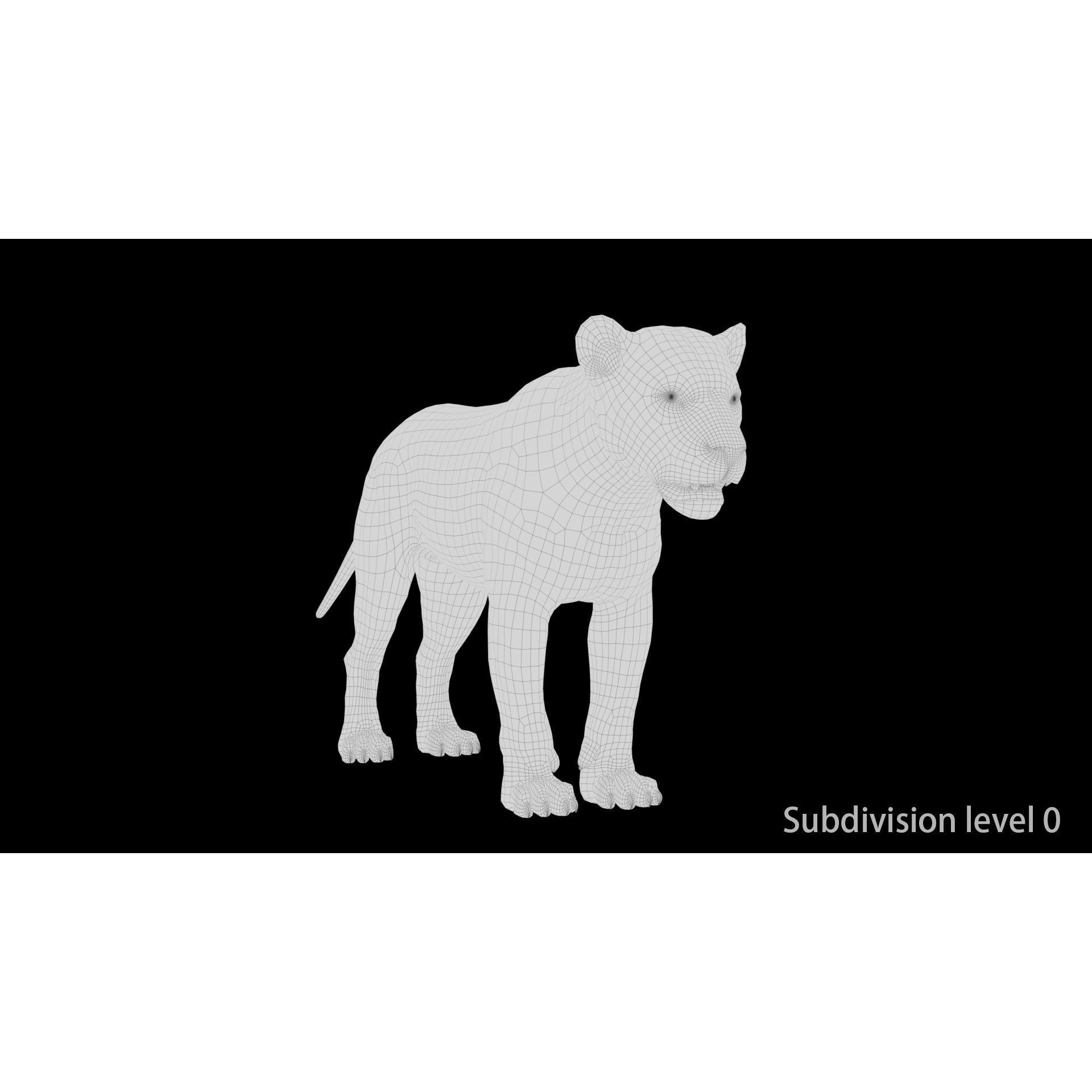 Realistic Lion - Low-Poly Game-Ready 3D Model - View 15