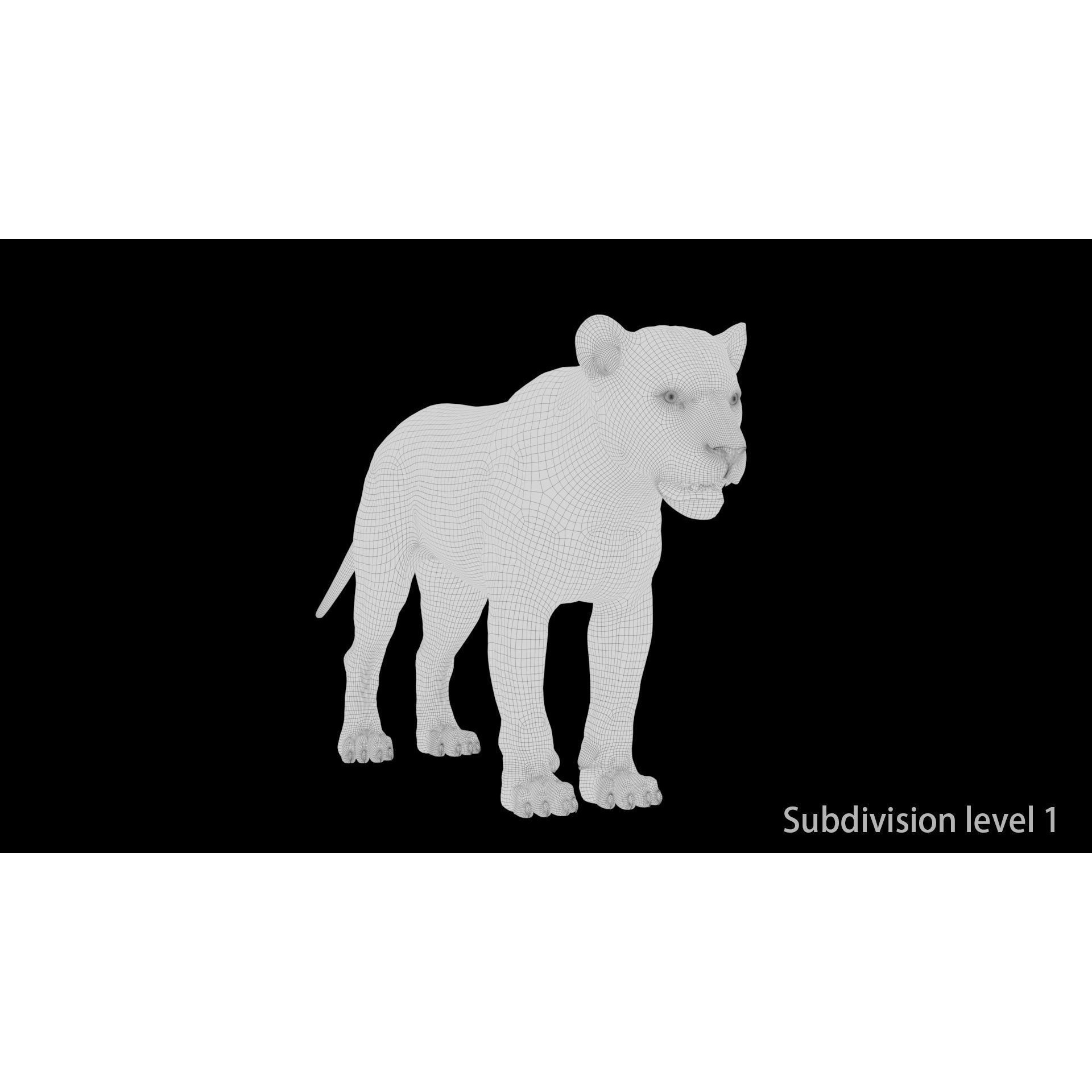 Realistic Lion - Low-Poly Game-Ready 3D Model - View 17