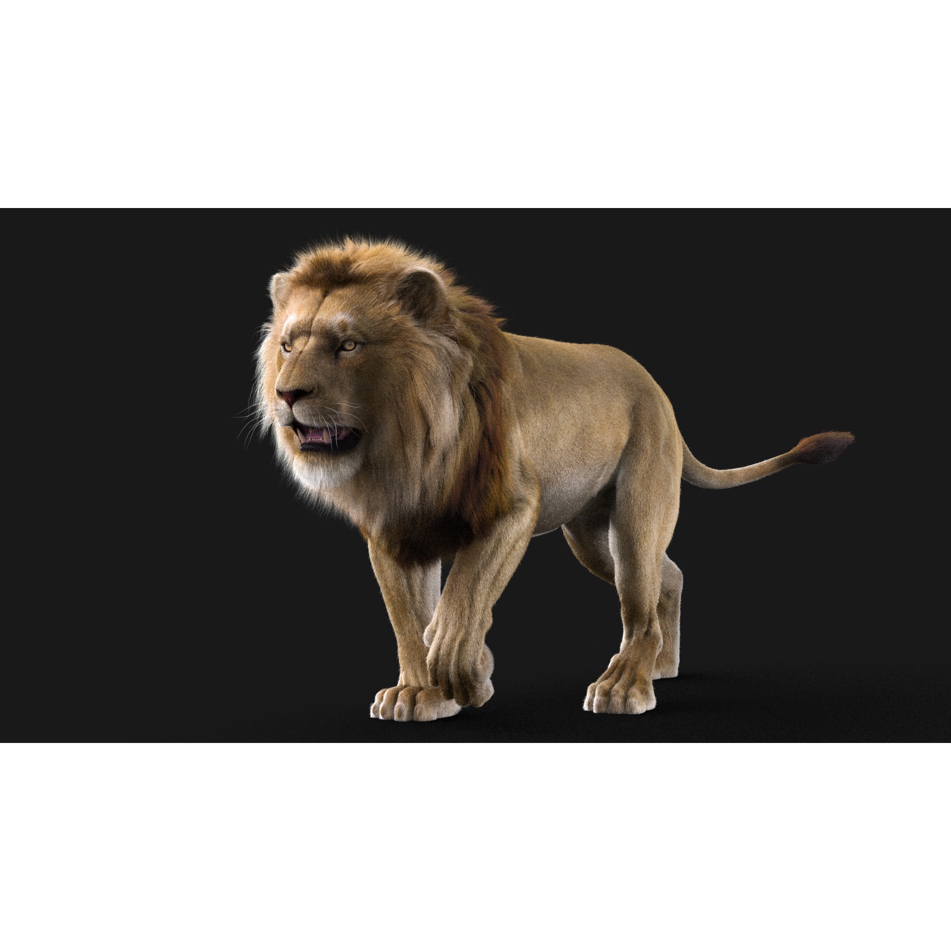 Realistic Lion - Low-Poly Game-Ready 3D Model - View 3