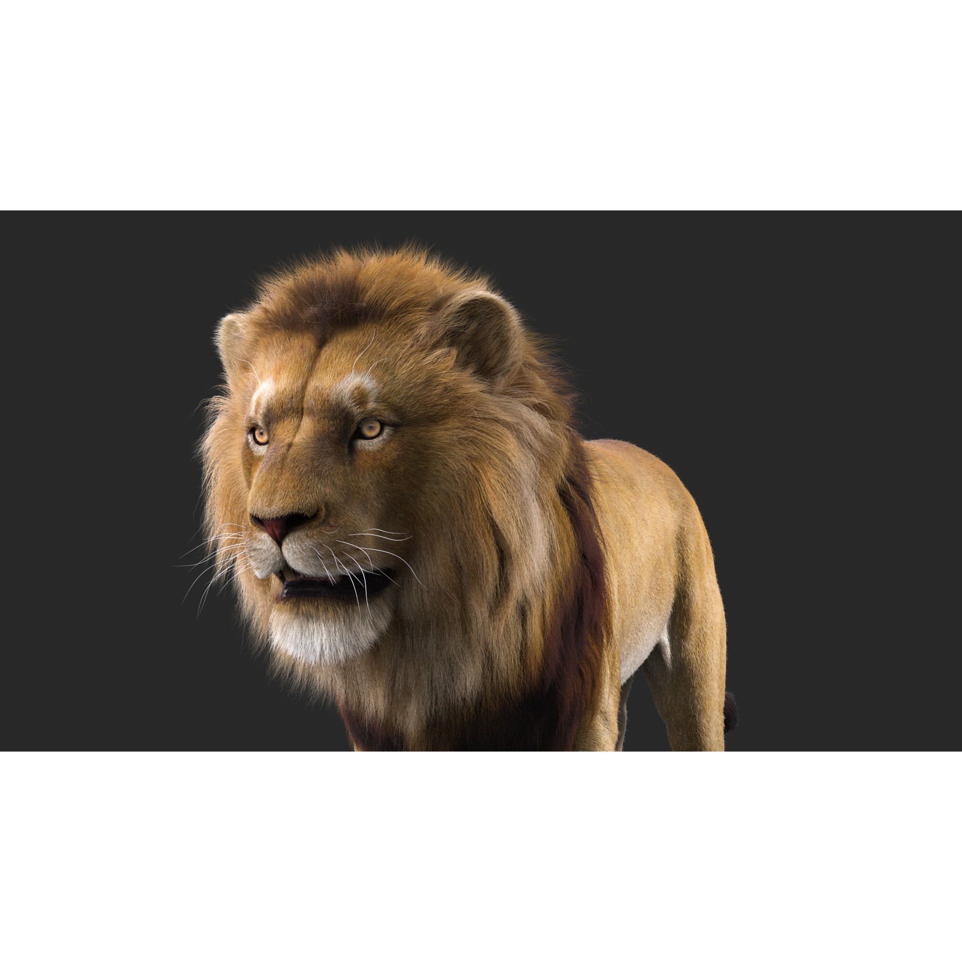 Realistic Lion - Low-Poly Game-Ready 3D Model - View 6