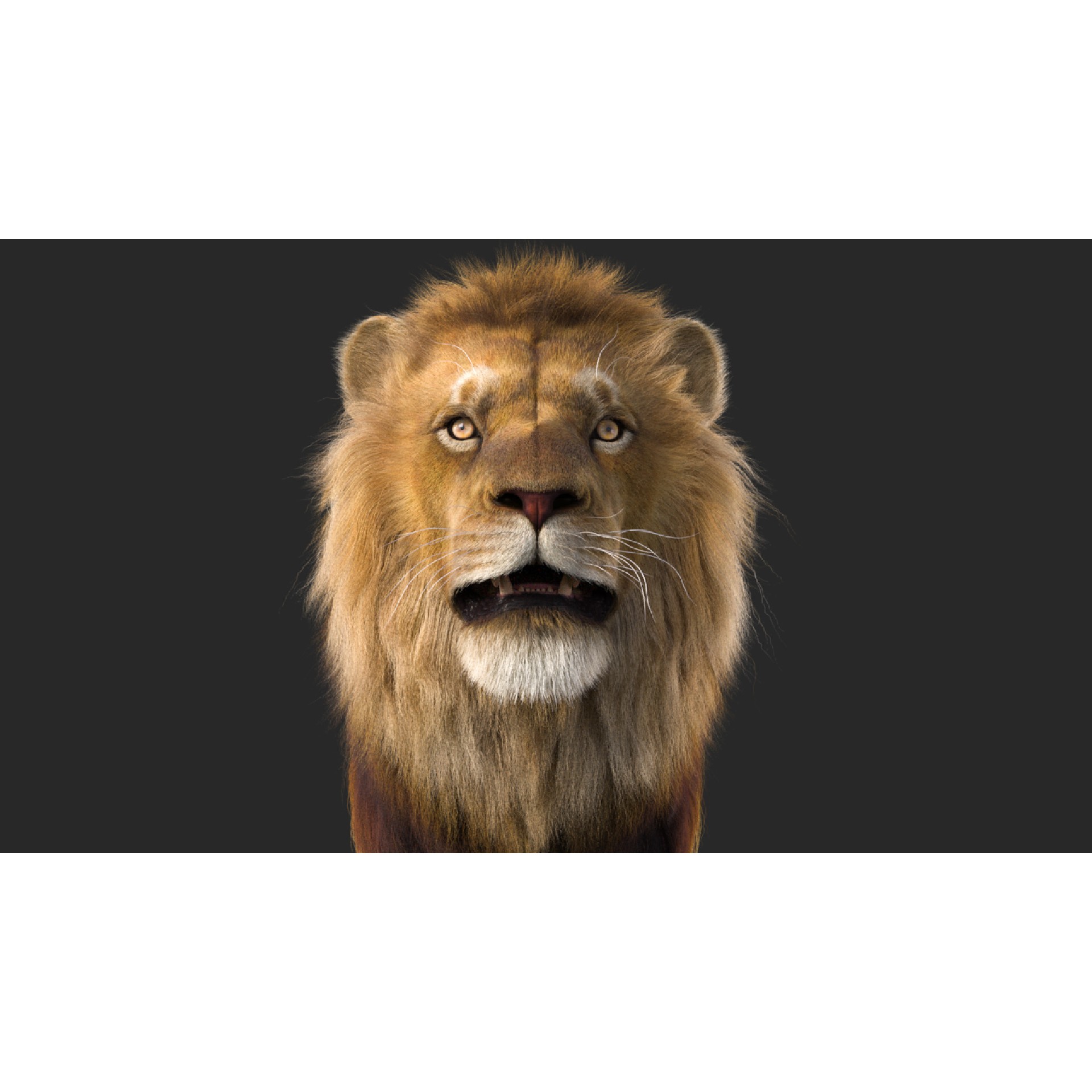 Realistic Lion - Low-Poly Game-Ready 3D Model - View 8