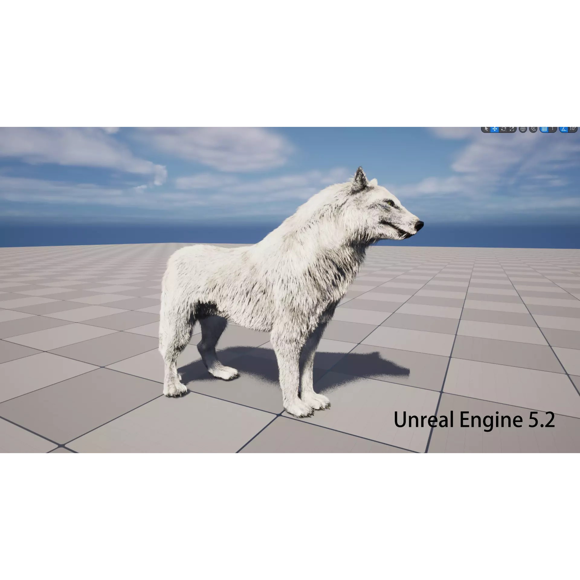 Animated Arctic Wolf - Low-Poly Game-Ready 3D Model - View 11