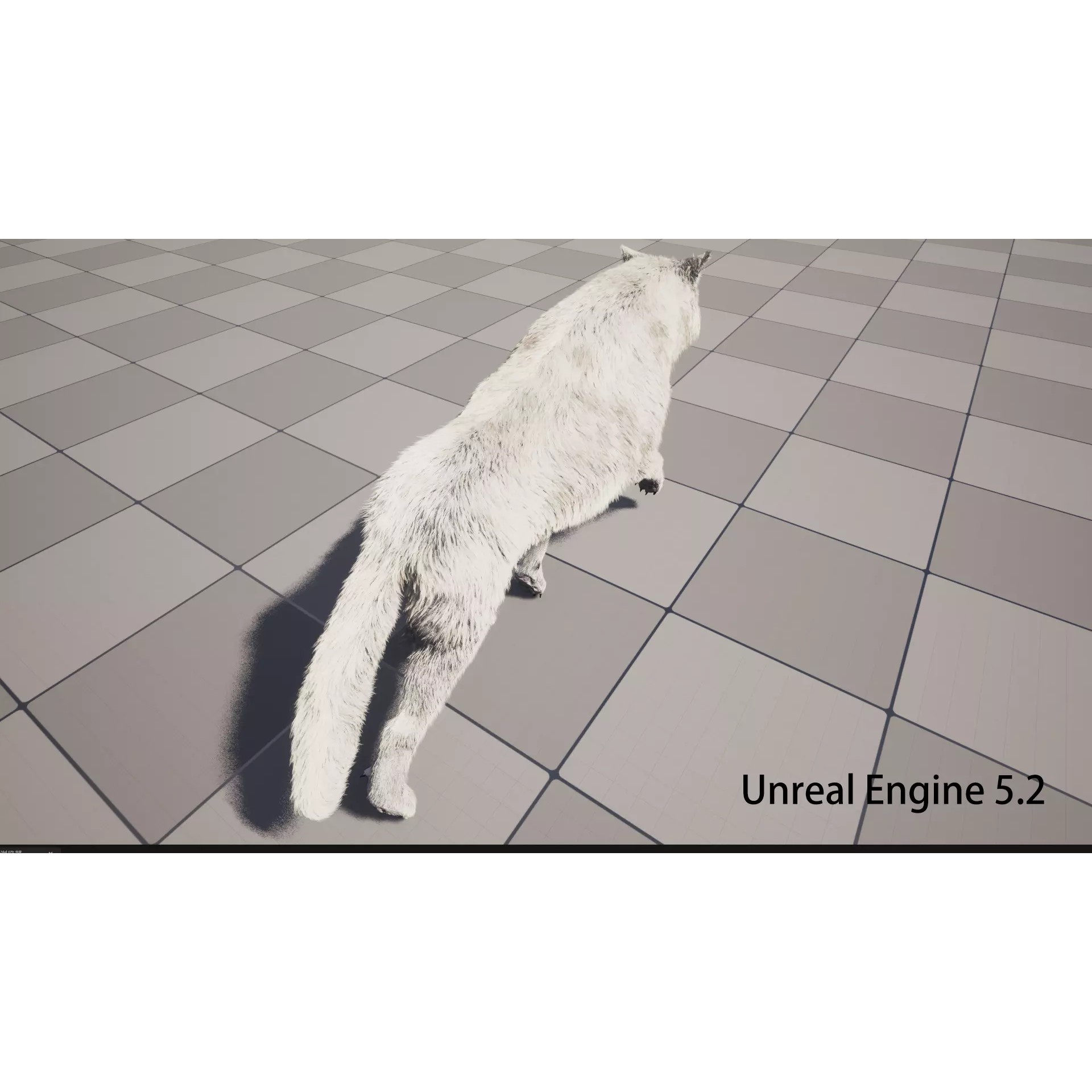 Animated Arctic Wolf - Low-Poly Game-Ready 3D Model - View 12