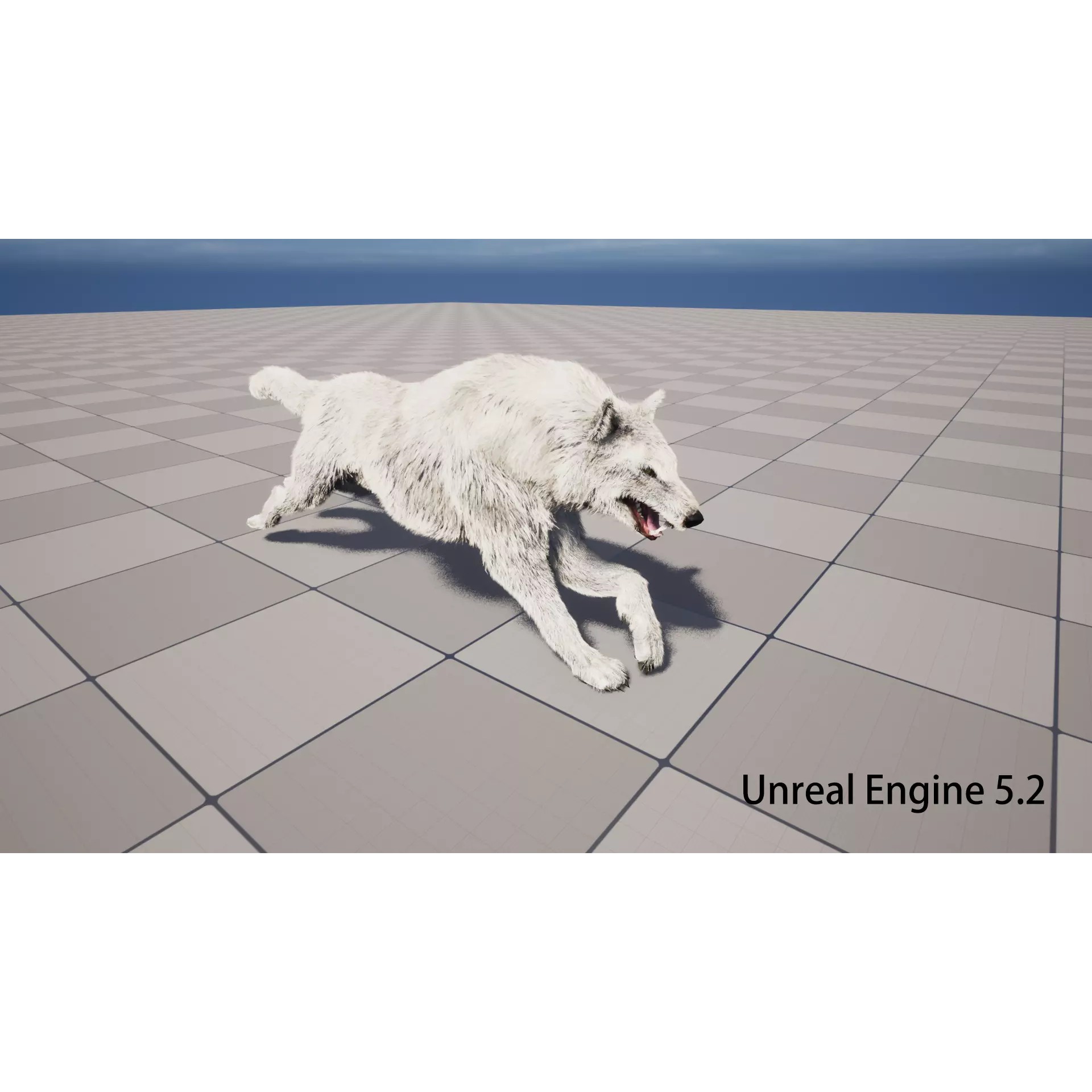 Animated Arctic Wolf - Low-Poly Game-Ready 3D Model - View 13