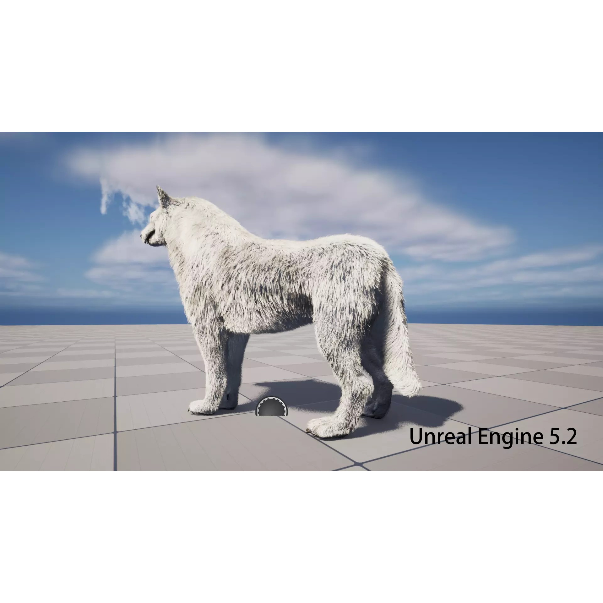 Animated Arctic Wolf - Low-Poly Game-Ready 3D Model - View 14