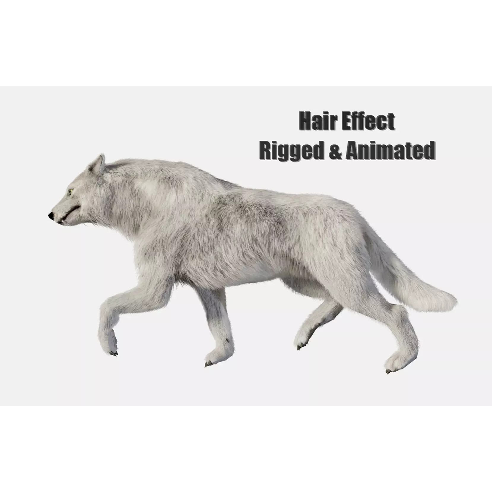 Animated Arctic Wolf - Low-Poly Game-Ready 3D Model - View 2