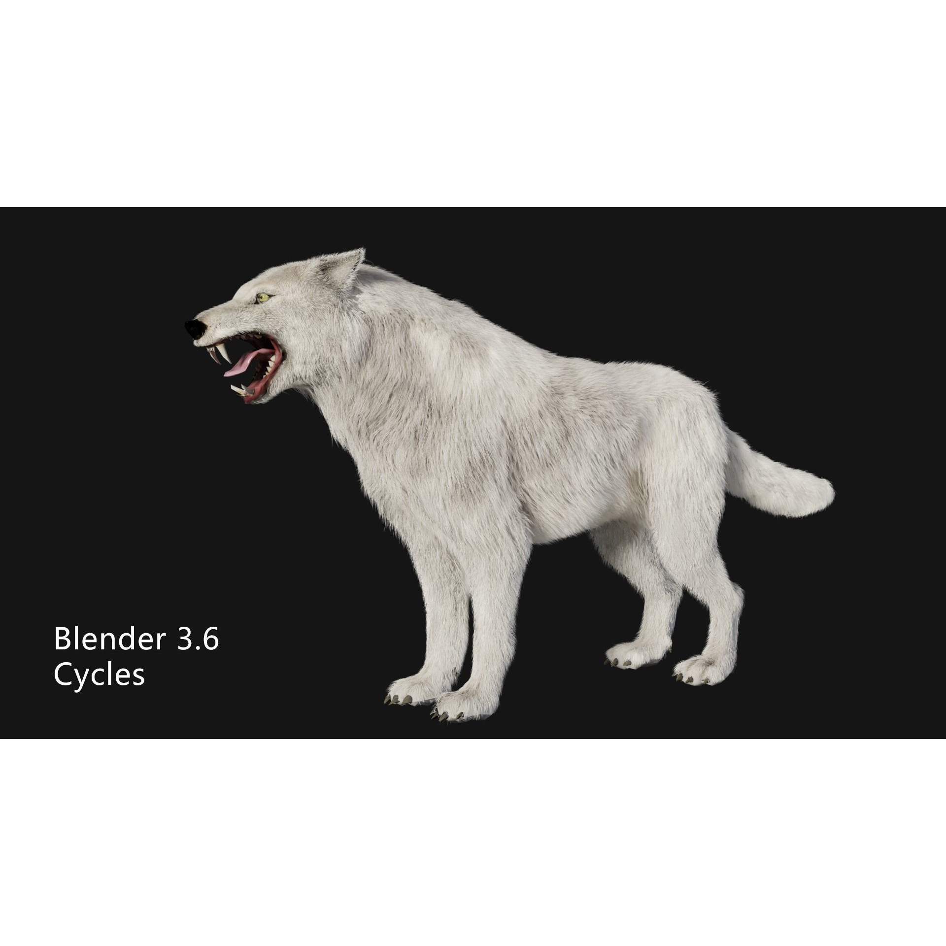 Animated Arctic Wolf - Low-Poly Game-Ready 3D Model - View 3