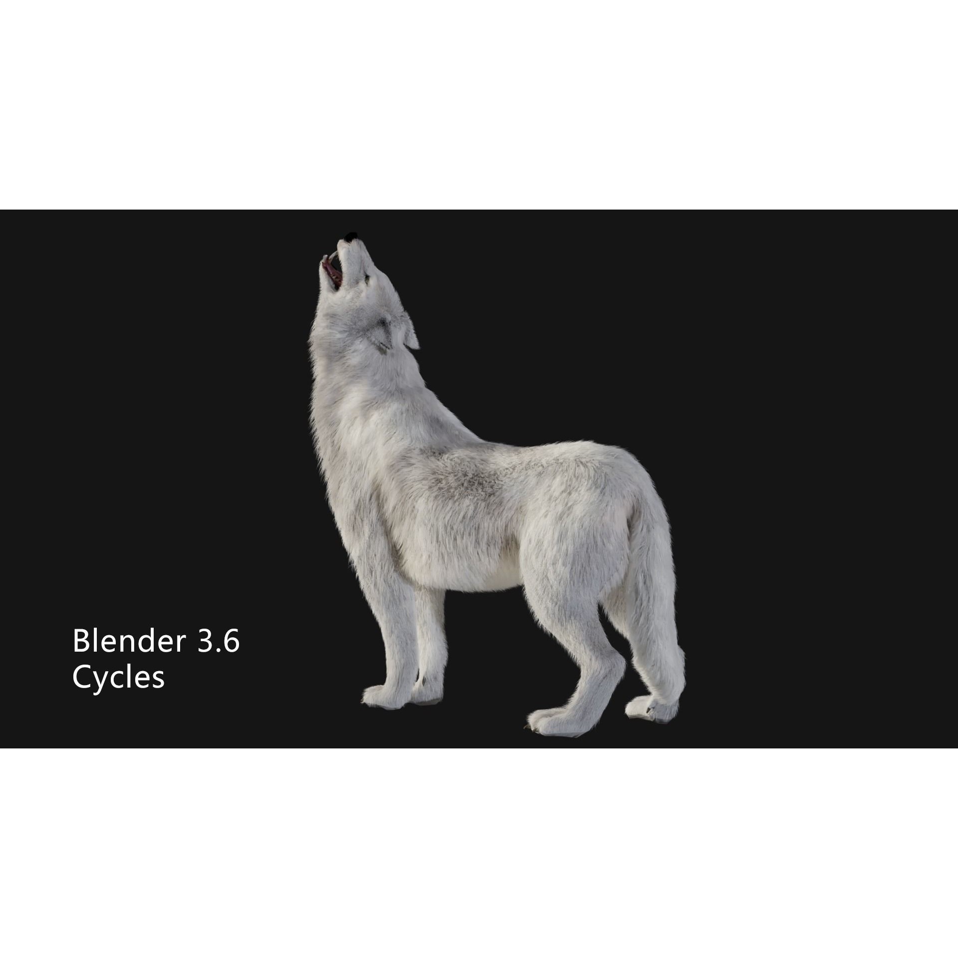 Animated Arctic Wolf - Low-Poly Game-Ready 3D Model - View 5