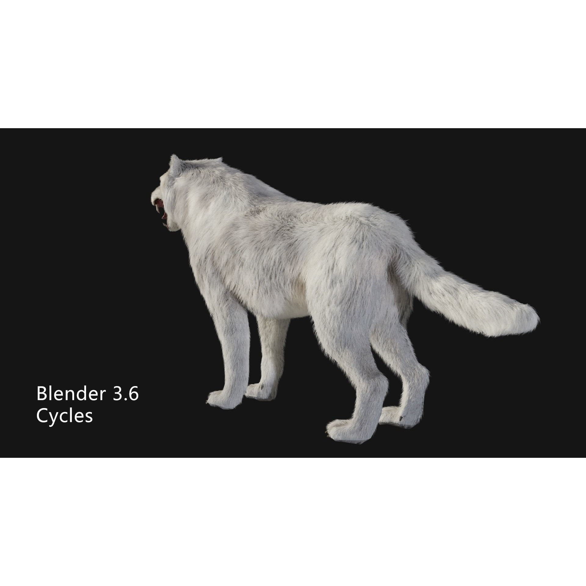 Animated Arctic Wolf - Low-Poly Game-Ready 3D Model - View 6