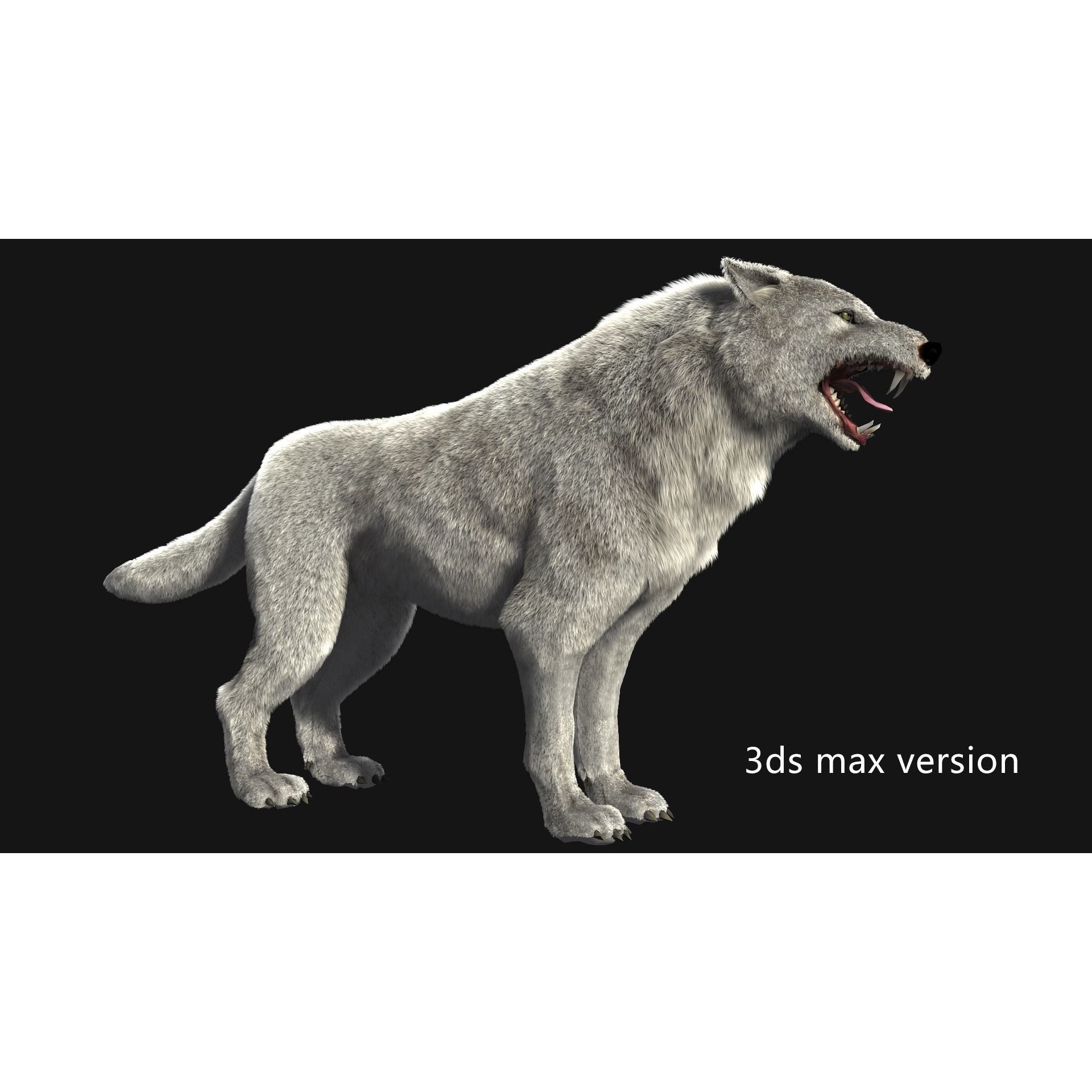 Animated Arctic Wolf - Low-Poly Game-Ready 3D Model - View 7