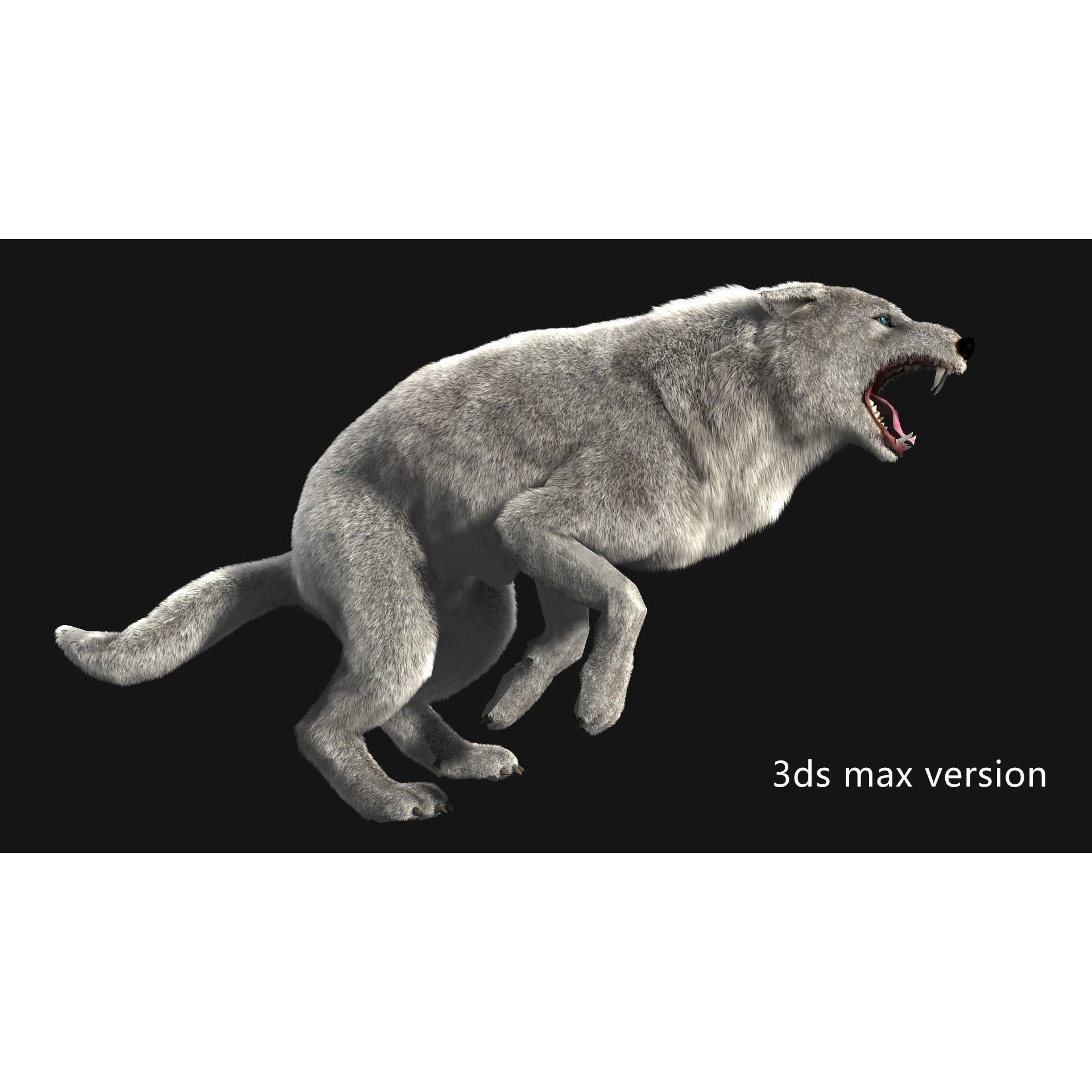 Animated Arctic Wolf - Low-Poly Game-Ready 3D Model - View 8