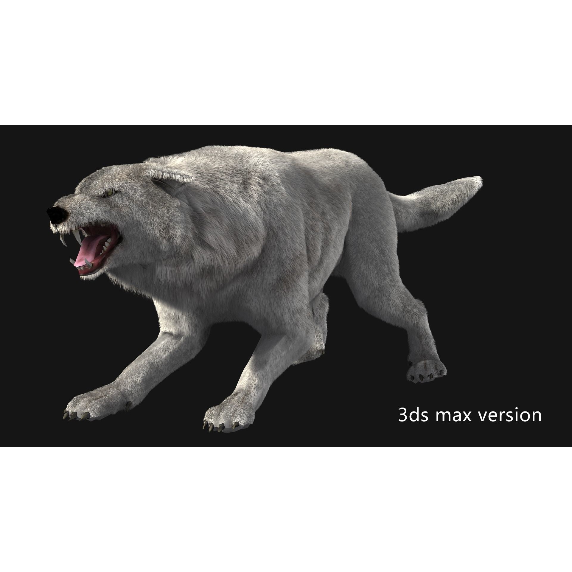 Animated Arctic Wolf - Low-Poly Game-Ready 3D Model - View 9
