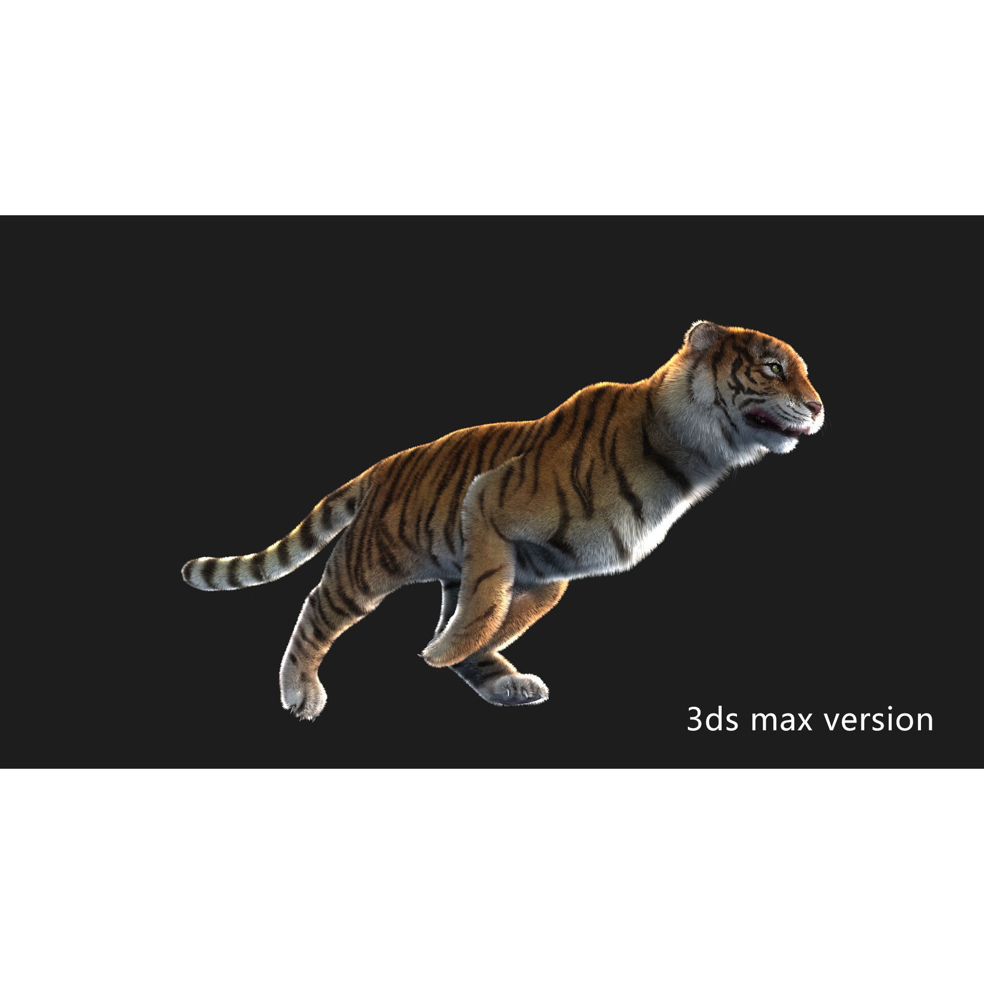 Rigged Tiger - Low-Poly Game-Ready 3D Model - View 10