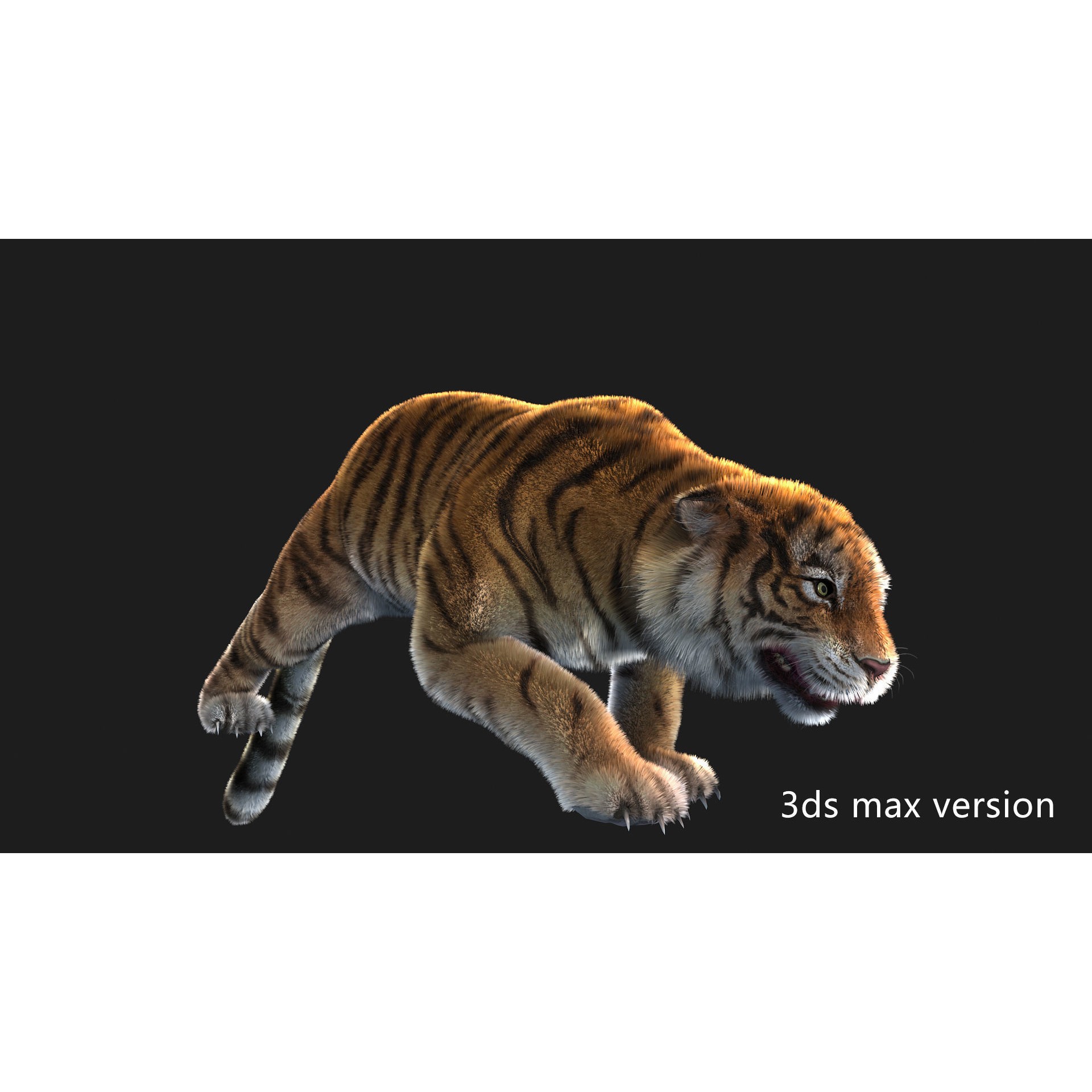 Rigged Tiger - Low-Poly Game-Ready 3D Model - View 11