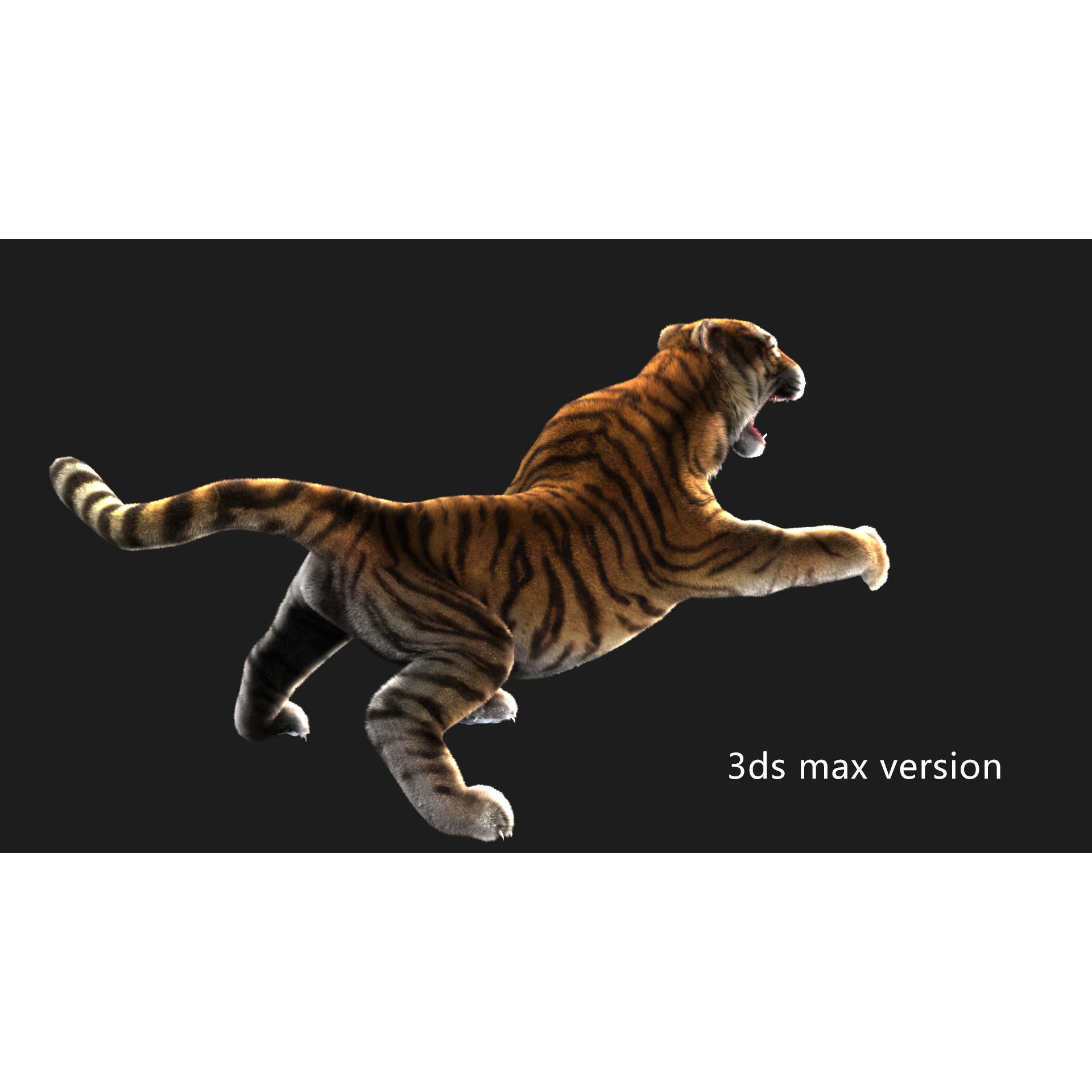 Rigged Tiger - Low-Poly Game-Ready 3D Model - View 12