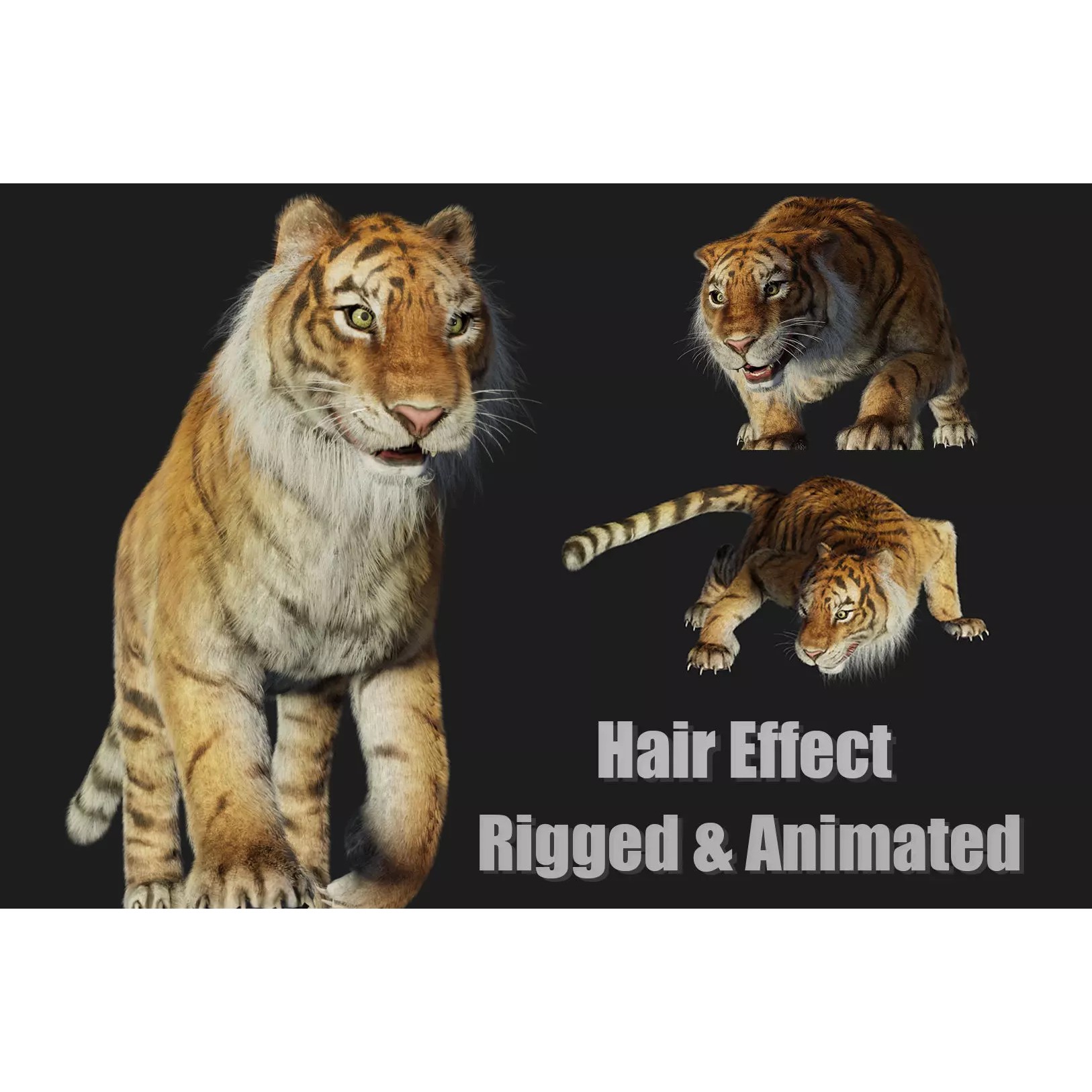 Rigged Tiger - Low-Poly Game-Ready 3D Model - View 2