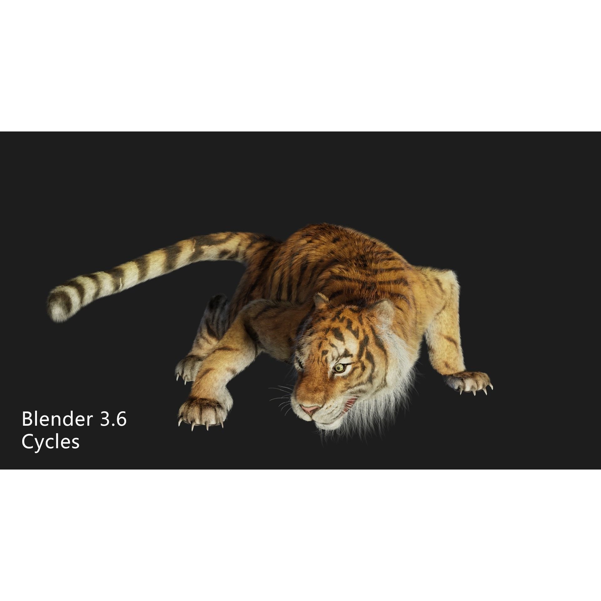 Rigged Tiger - Low-Poly Game-Ready 3D Model - View 5