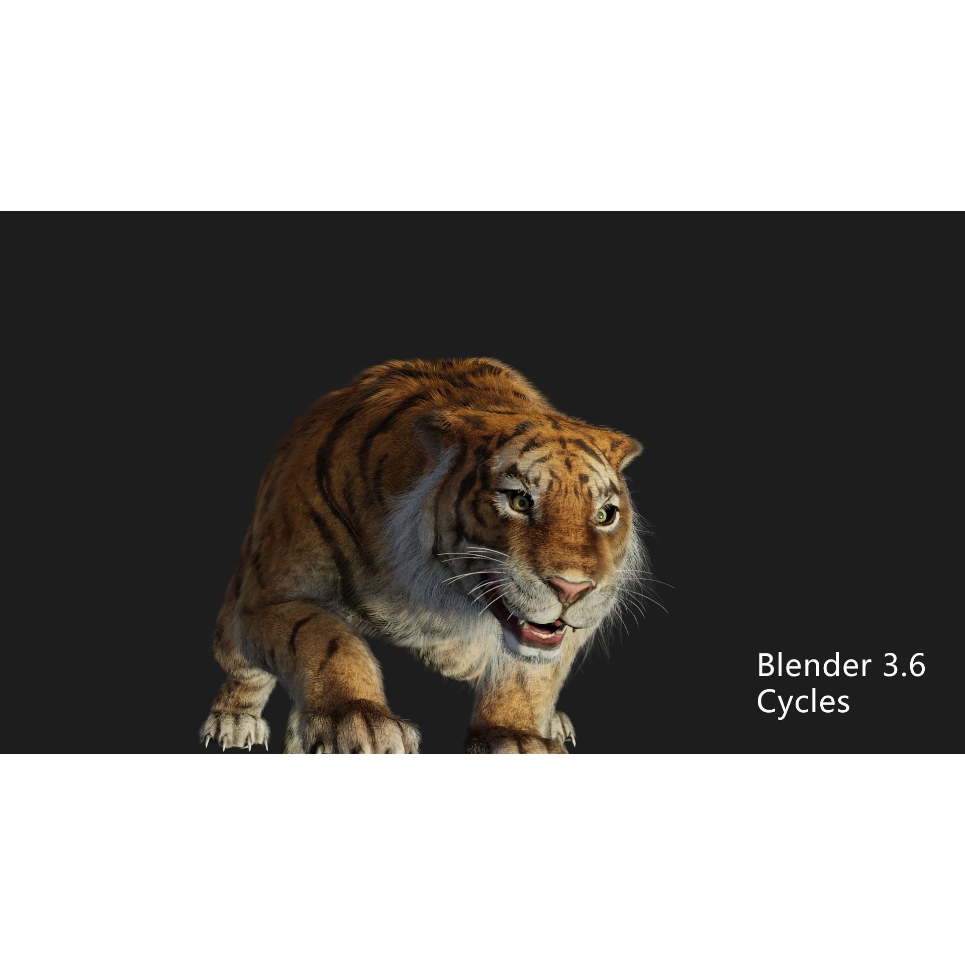 Rigged Tiger - Low-Poly Game-Ready 3D Model - View 6