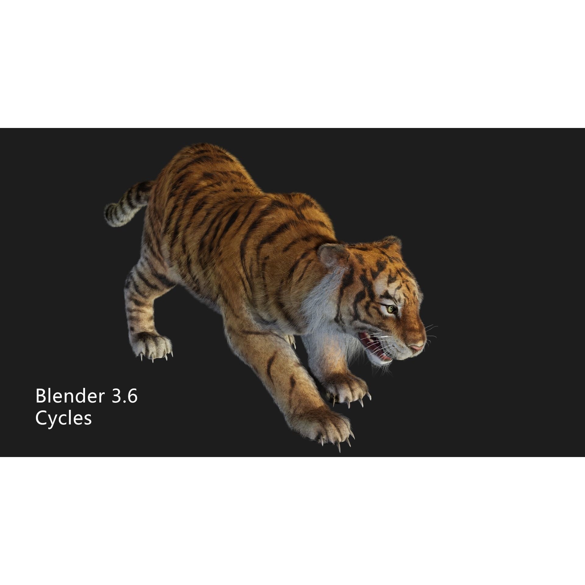 Rigged Tiger - Low-Poly Game-Ready 3D Model - View 7
