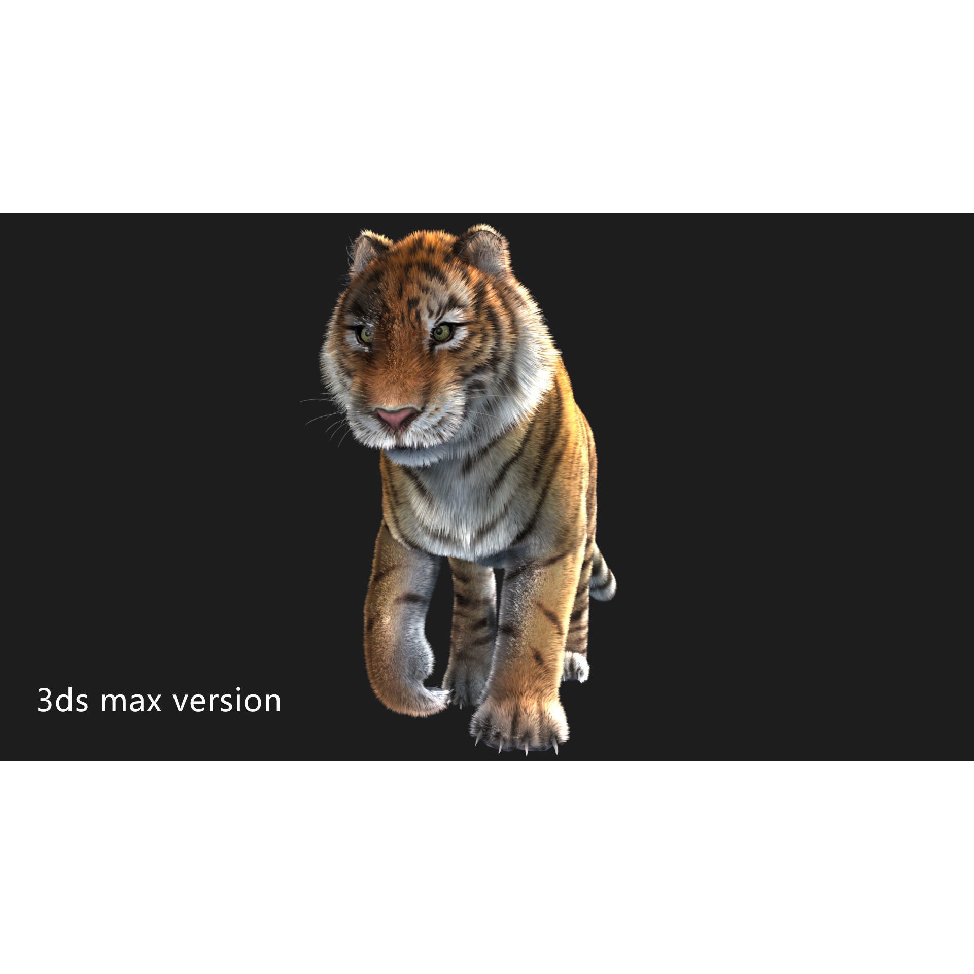 Rigged Tiger - Low-Poly Game-Ready 3D Model - View 8