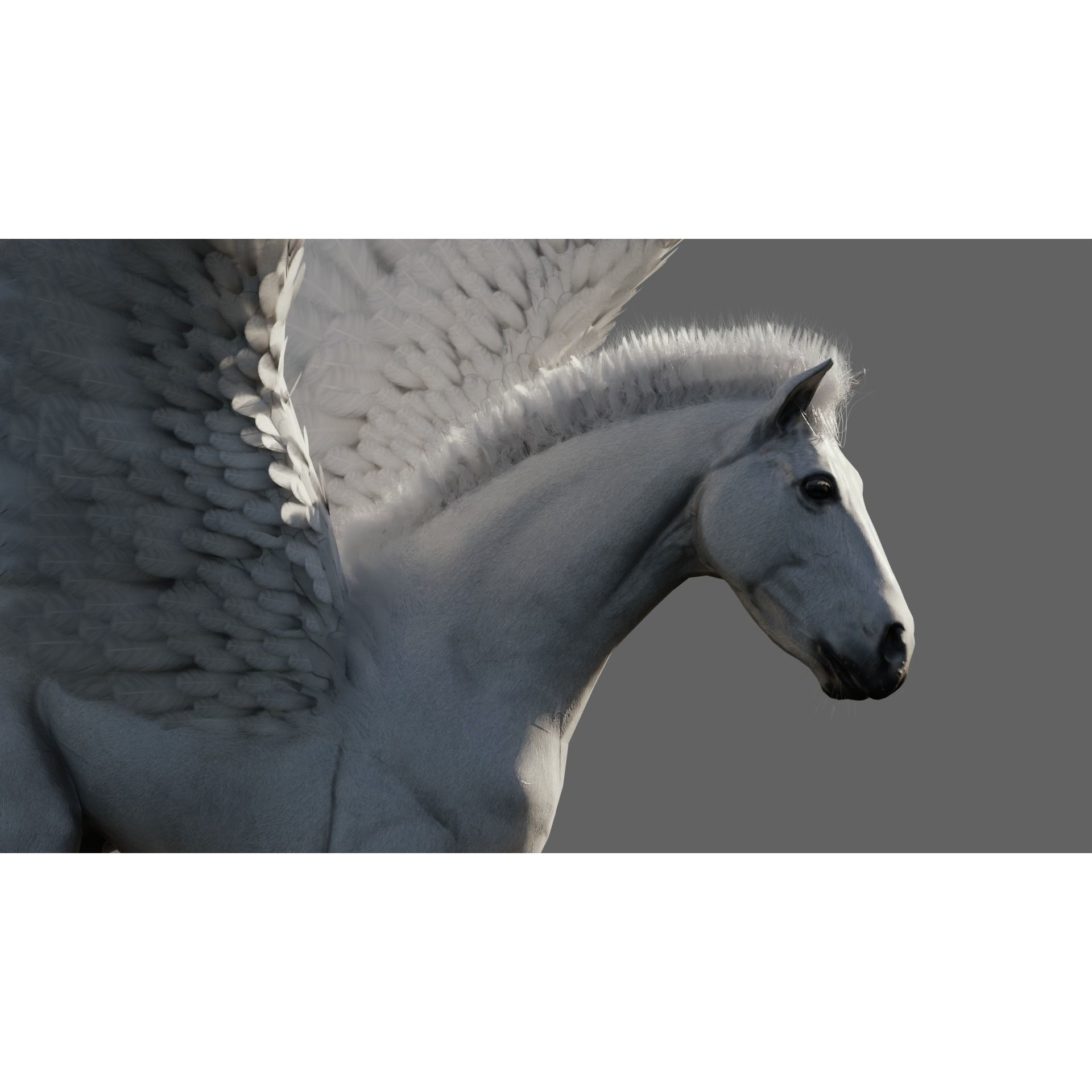 Pegasus - Game-Ready 3D Model - View 6