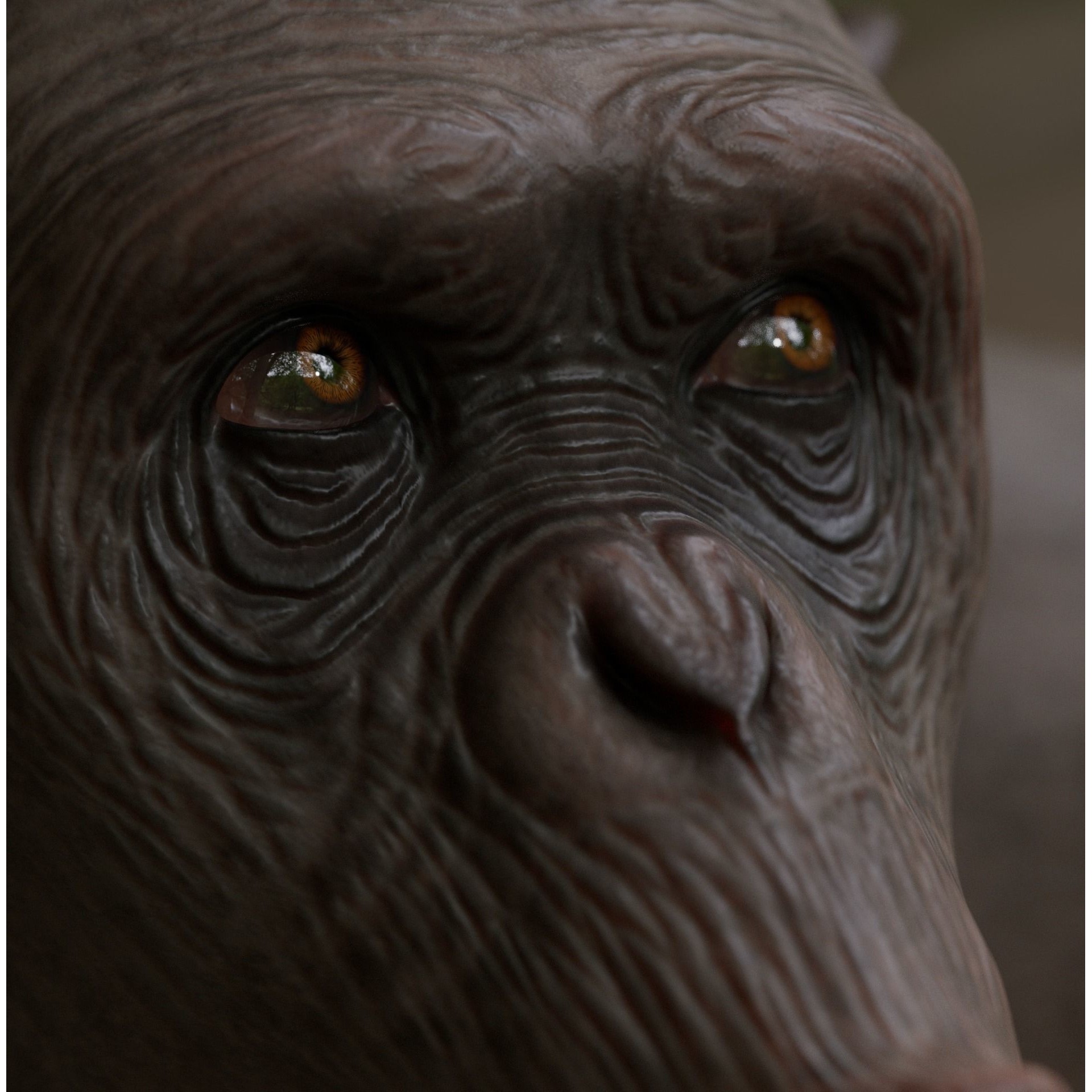 Rigged Hairless Chimpanzee - Low-Poly Game-Ready 3D Model - View 13