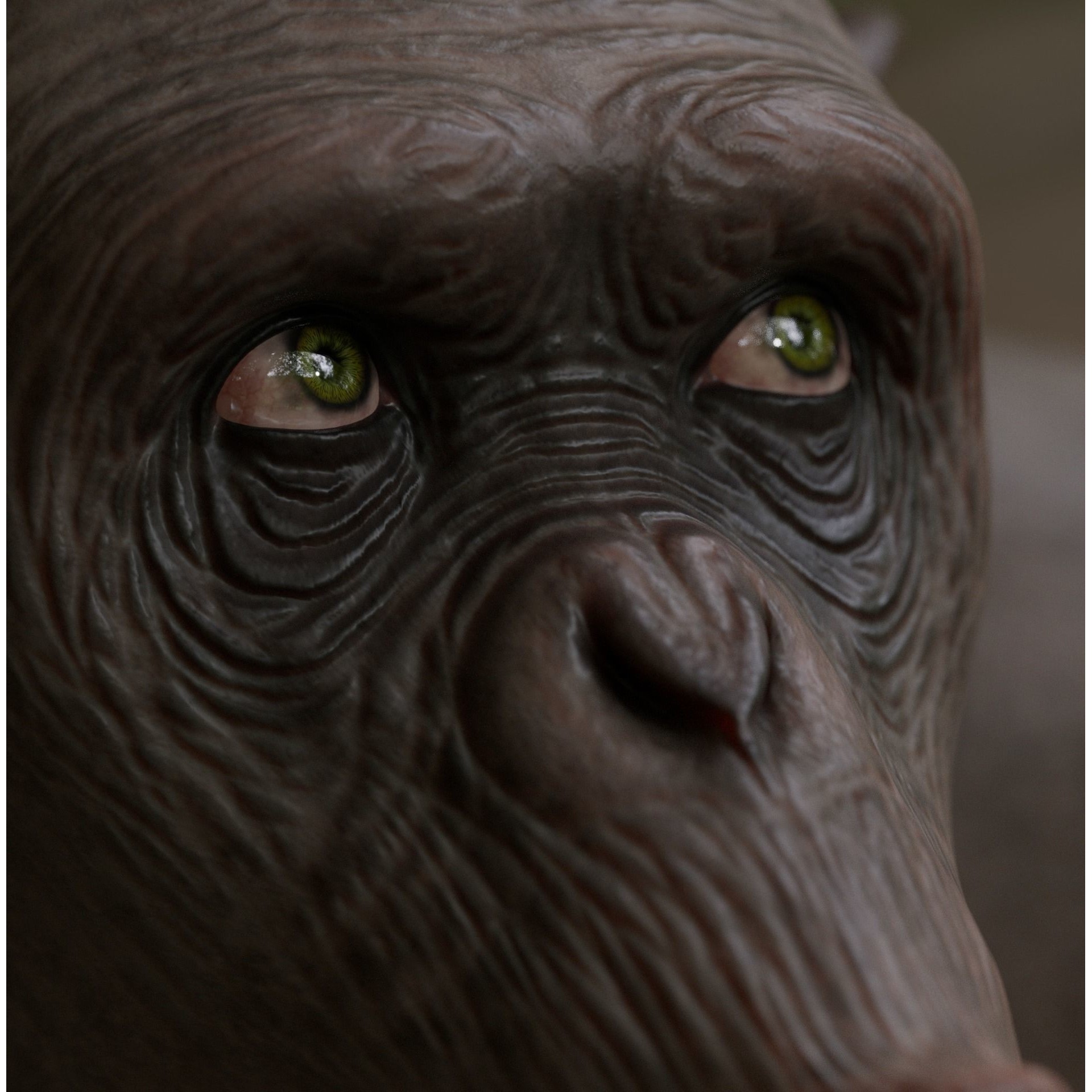 Rigged Hairless Chimpanzee - Low-Poly Game-Ready 3D Model - View 14