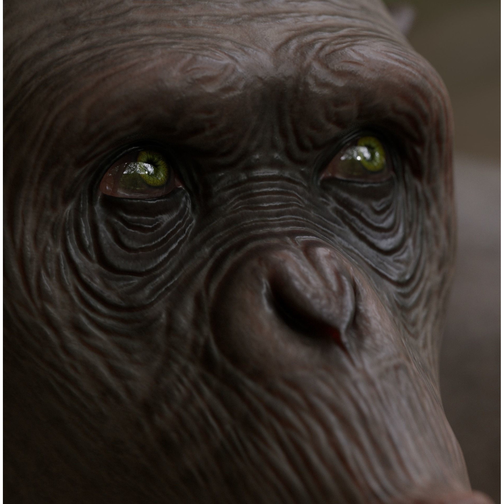 Rigged Hairless Chimpanzee - Low-Poly Game-Ready 3D Model - View 15