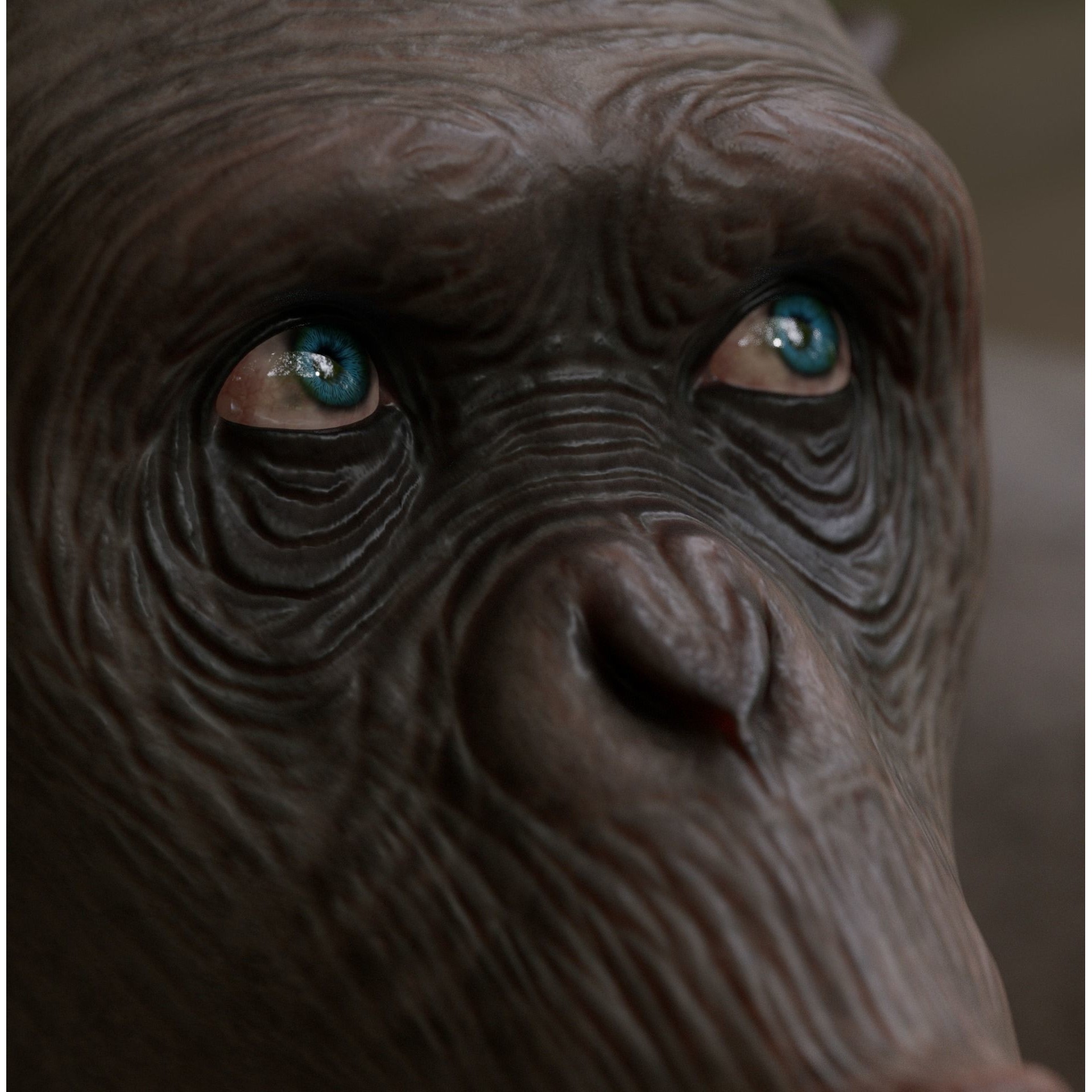 Rigged Hairless Chimpanzee - Low-Poly Game-Ready 3D Model - View 16