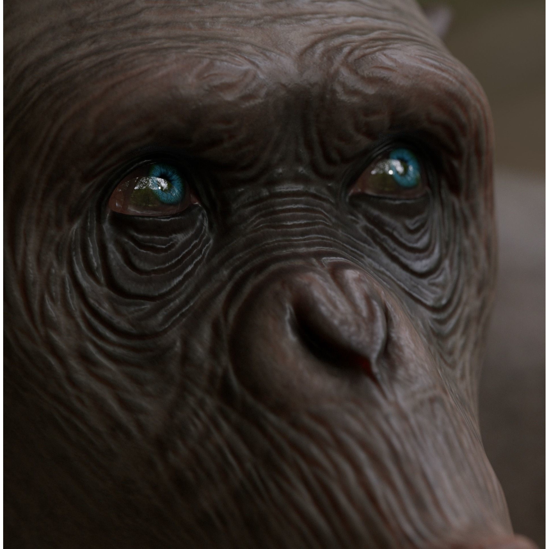 Rigged Hairless Chimpanzee - Low-Poly Game-Ready 3D Model - View 17