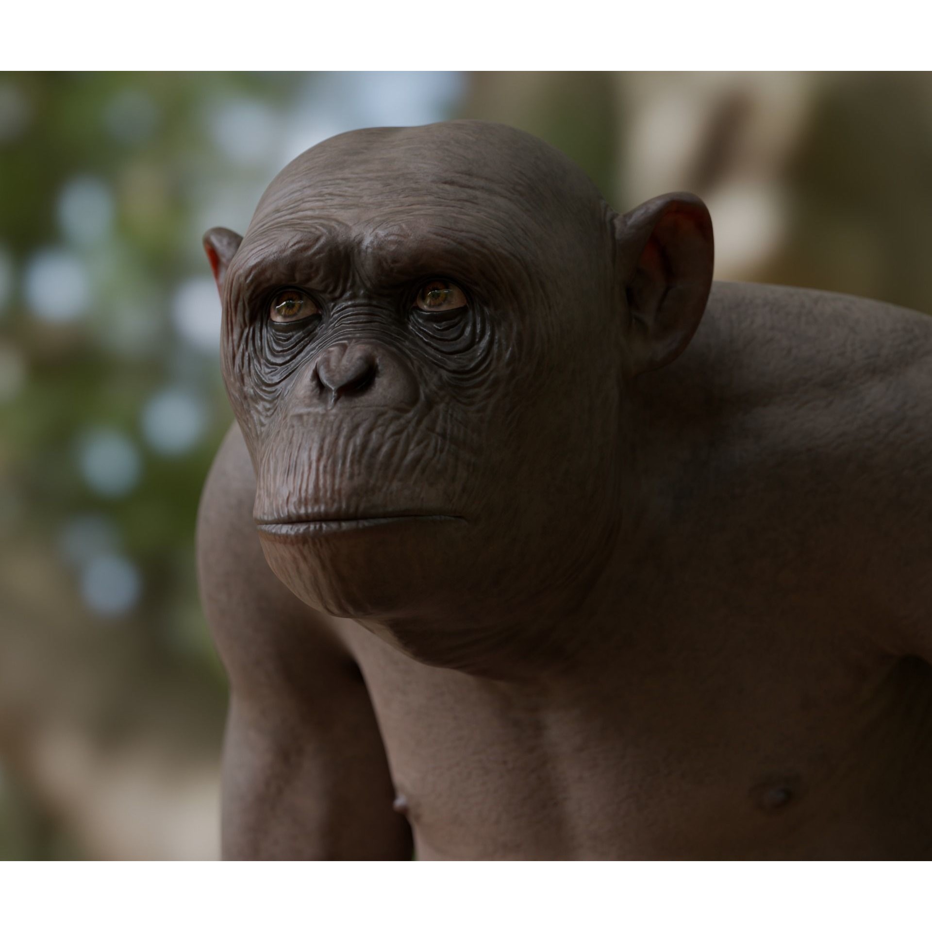 Rigged Hairless Chimpanzee - Low-Poly Game-Ready 3D Model - View 4