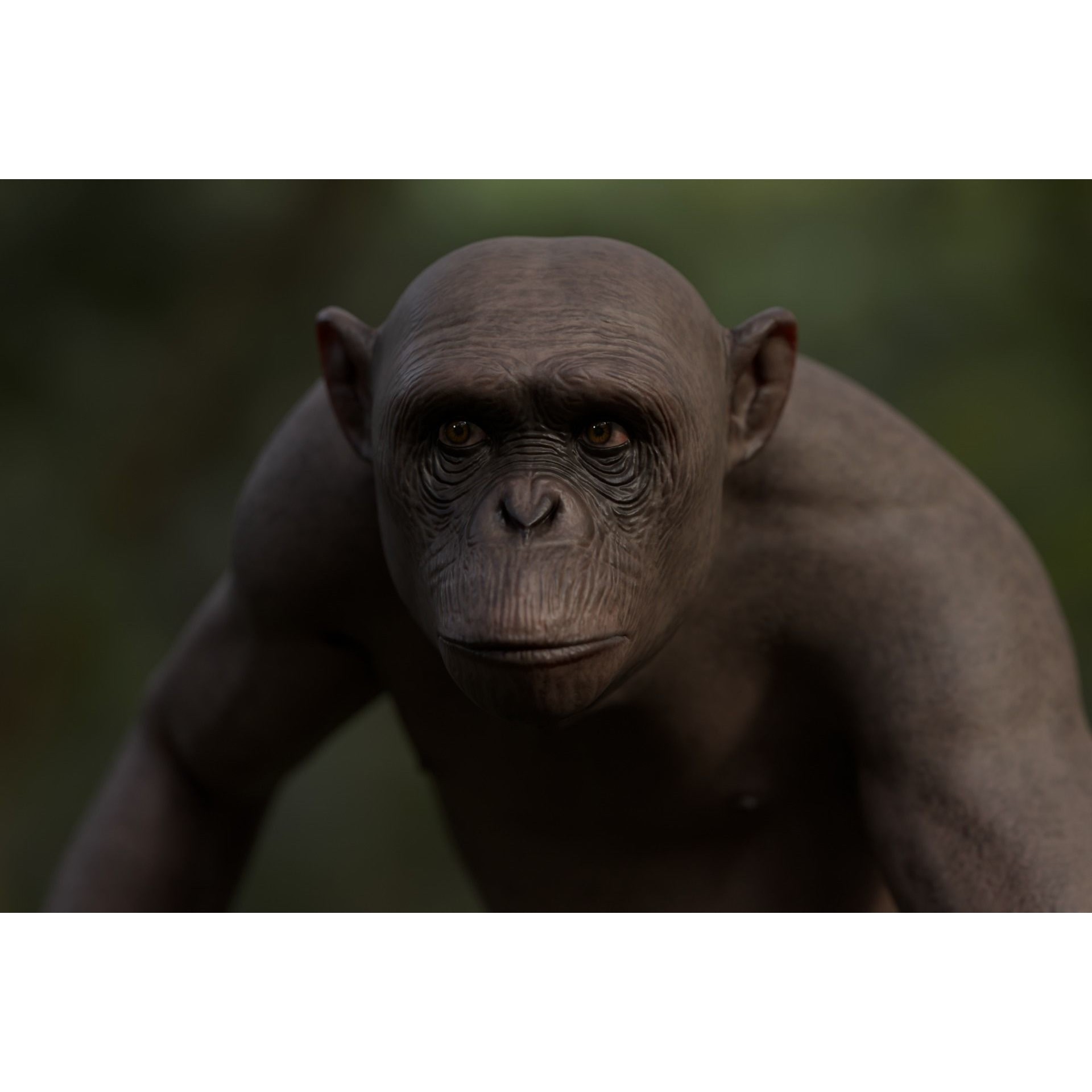Rigged Hairless Chimpanzee - Low-Poly Game-Ready 3D Model - View 6