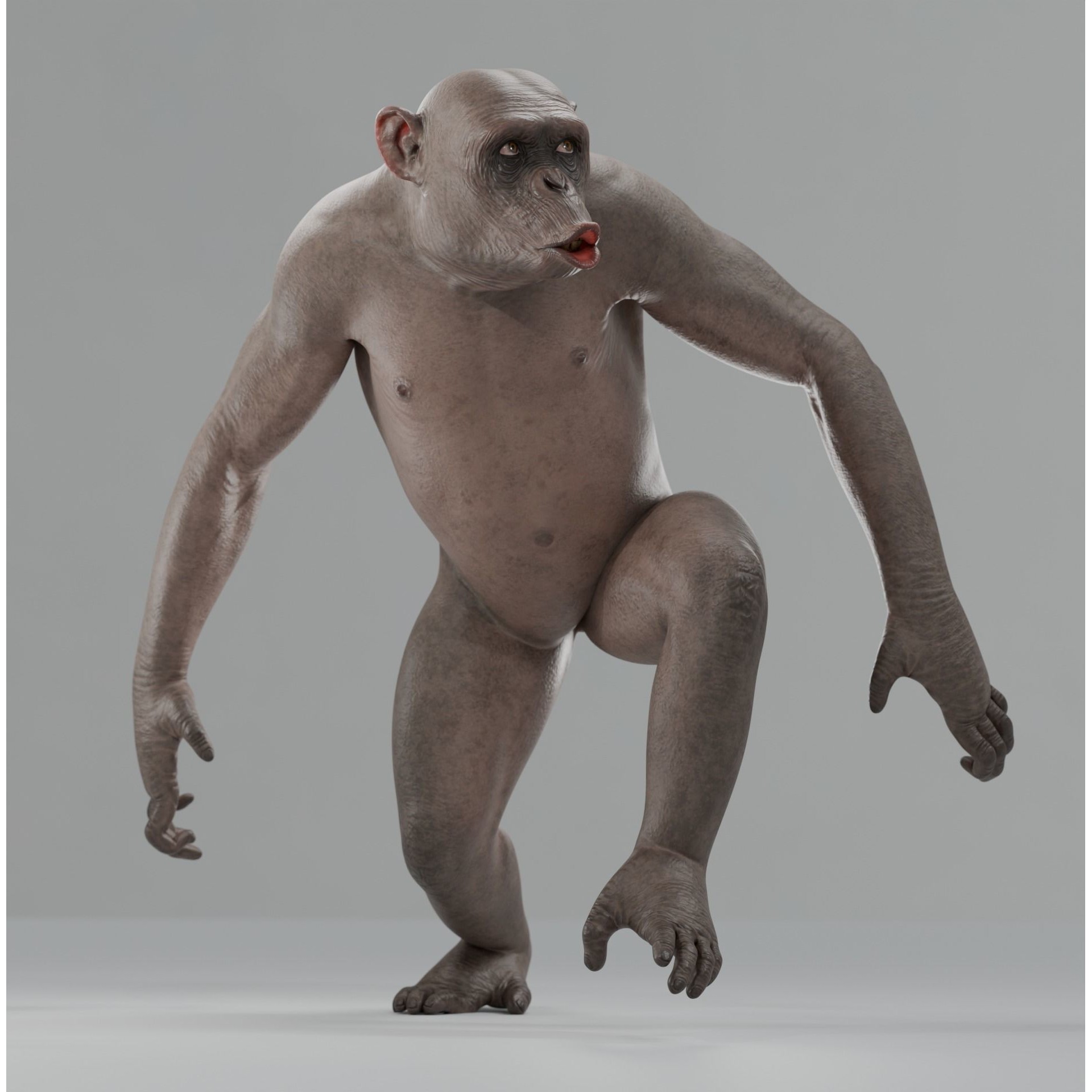 Rigged Hairless Chimpanzee - Low-Poly Game-Ready 3D Model - View 7
