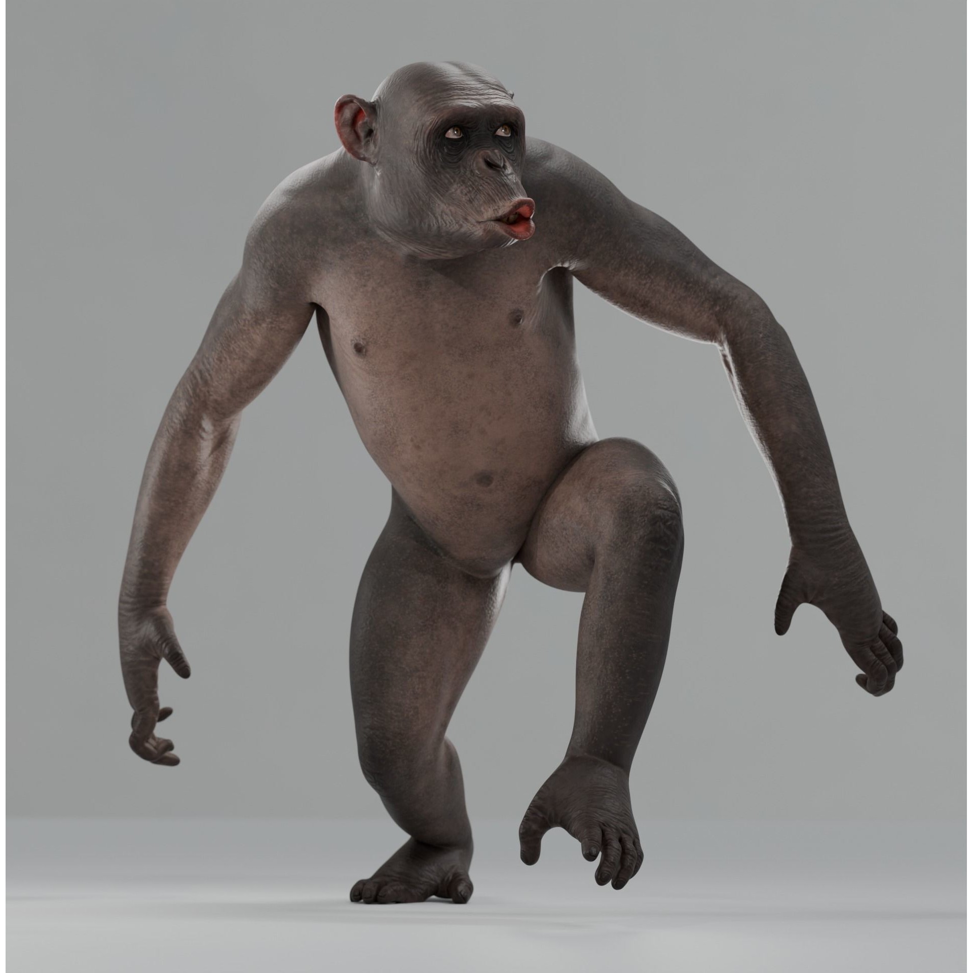 Rigged Hairless Chimpanzee - Low-Poly Game-Ready 3D Model - View 8