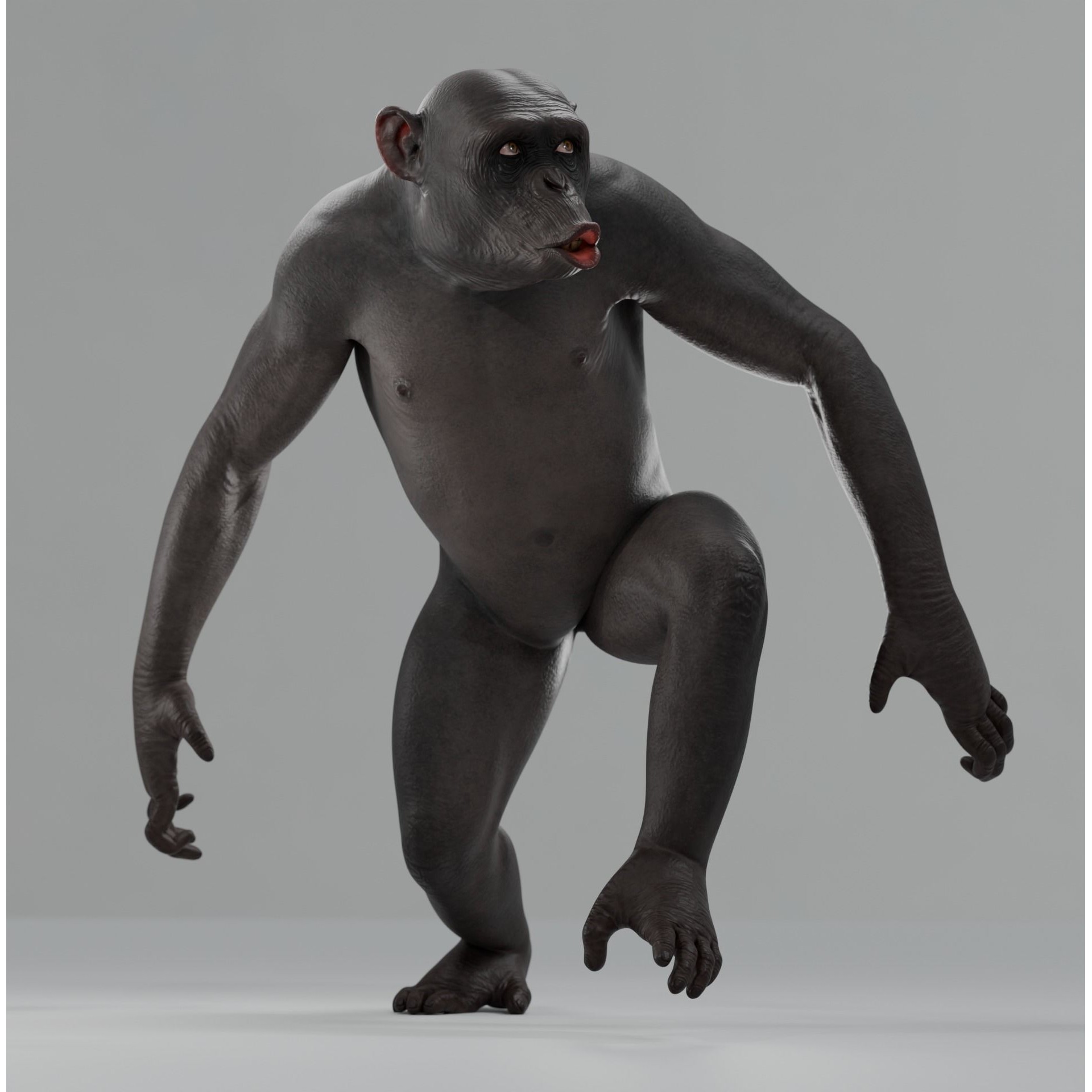 Rigged Hairless Chimpanzee - Low-Poly Game-Ready 3D Model - View 9